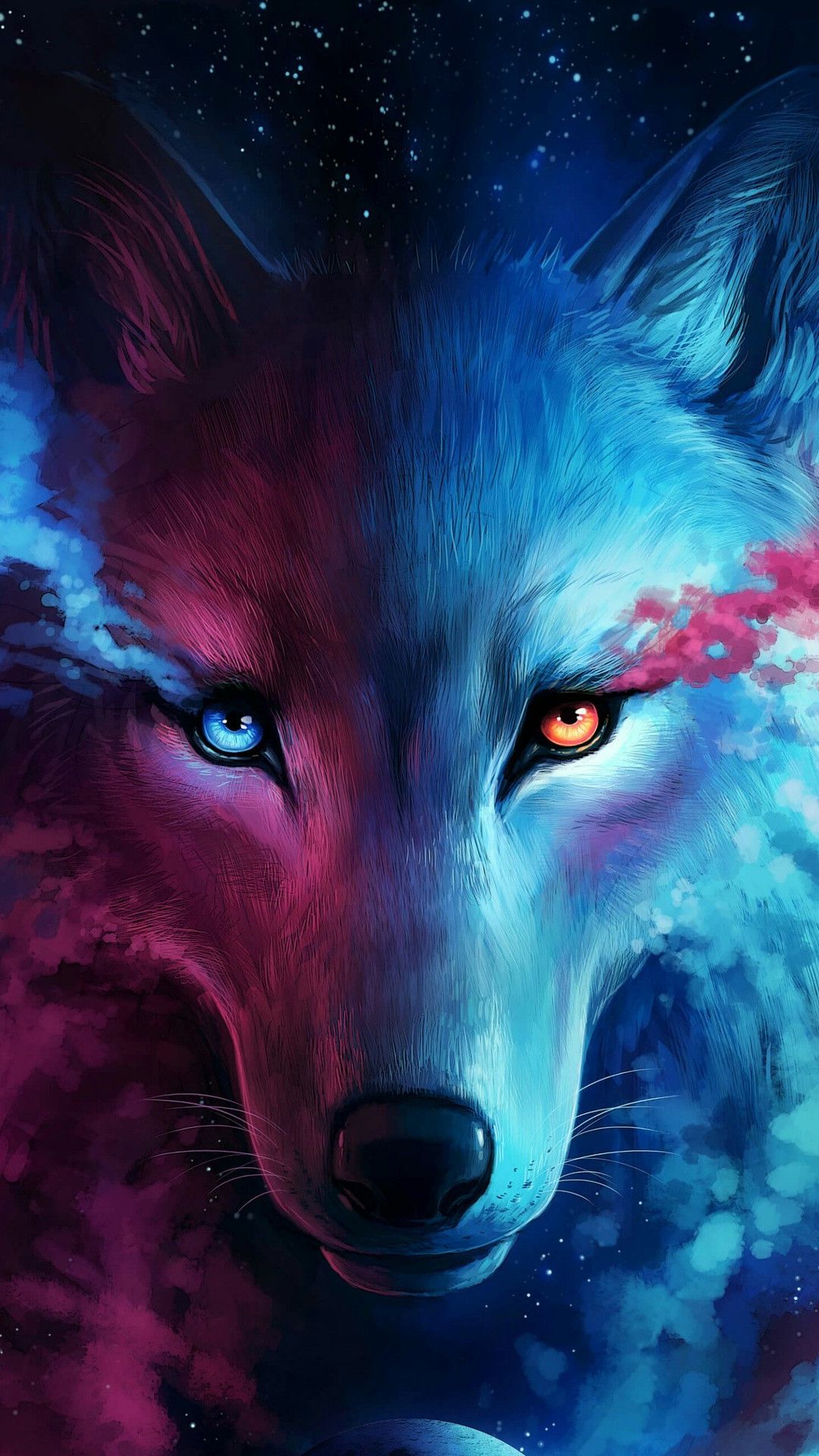 Lupo bicolore rosa e blu, 1080x1920 Full HD Verticale, Smartphone