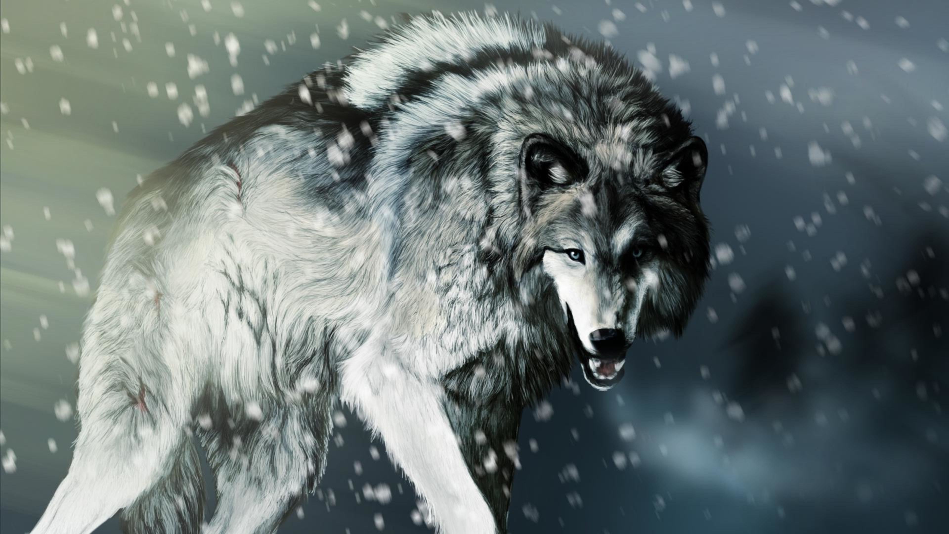Lupo grigio nella neve, 3840x2160 UHD, PC 4K