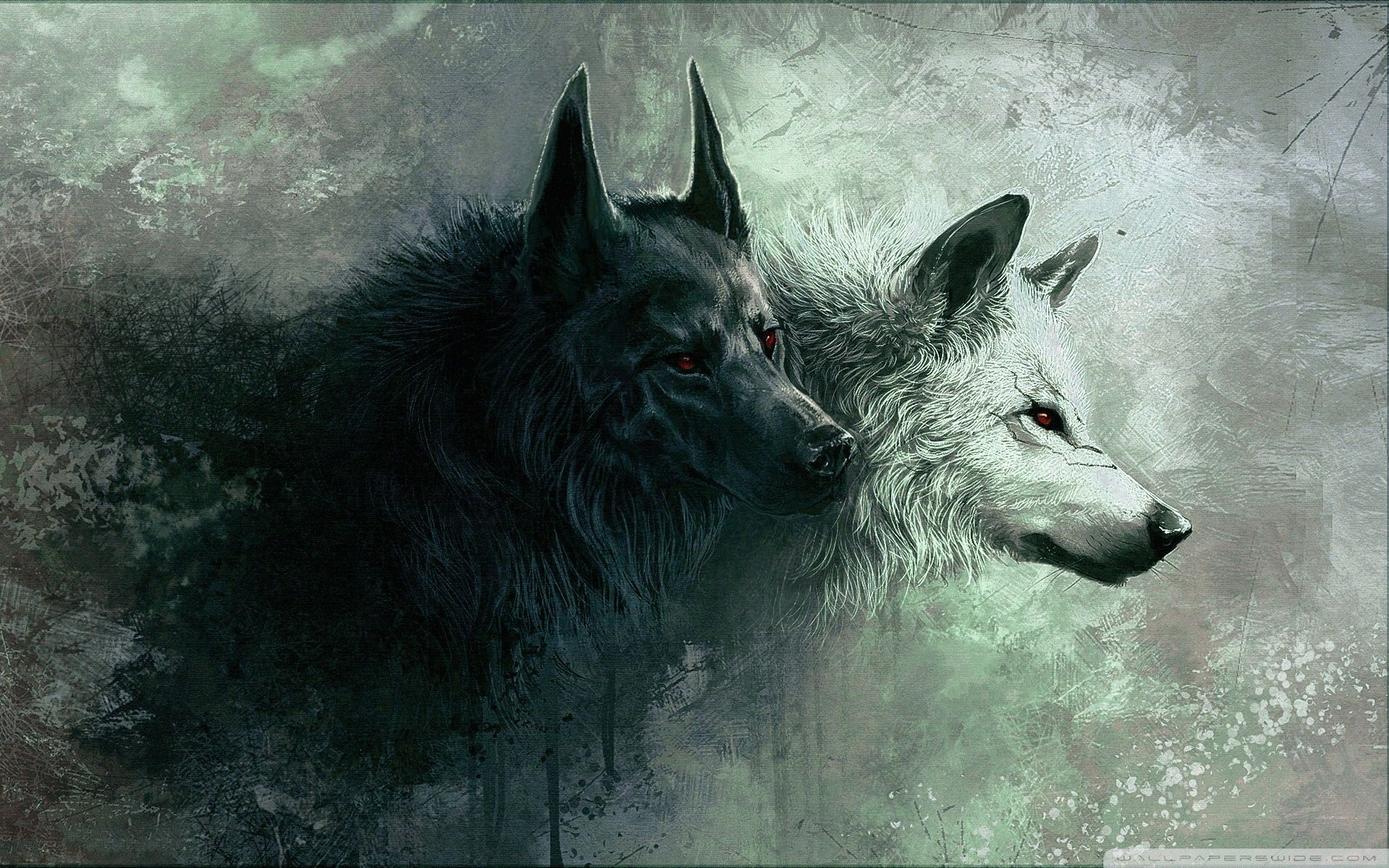 Due lupi bianco e nero, 1920x1200 Full HD+ WUXGA, Laptop