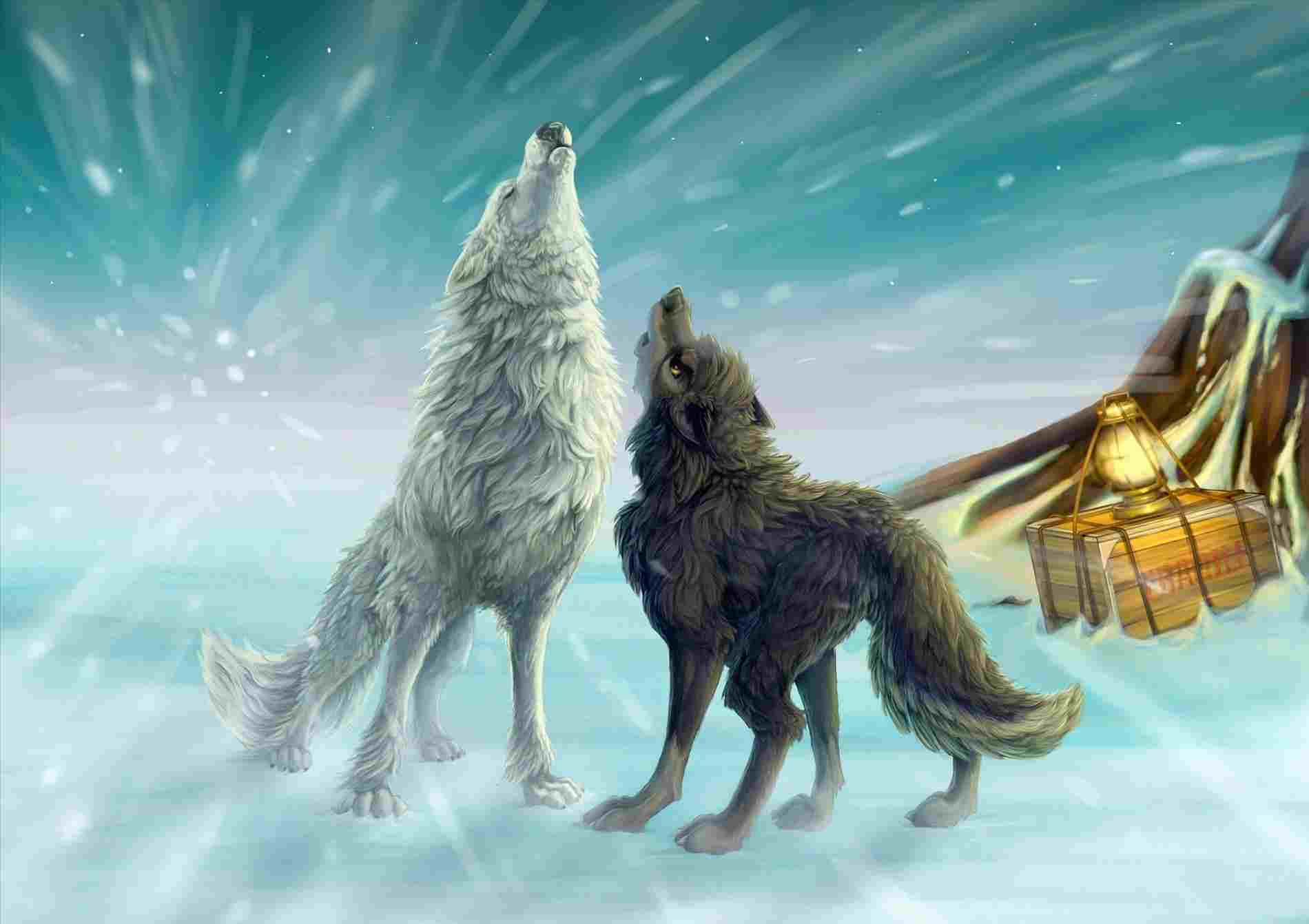 Due lupi ululanti nella neve, 1900x1342 HD Ready, PC