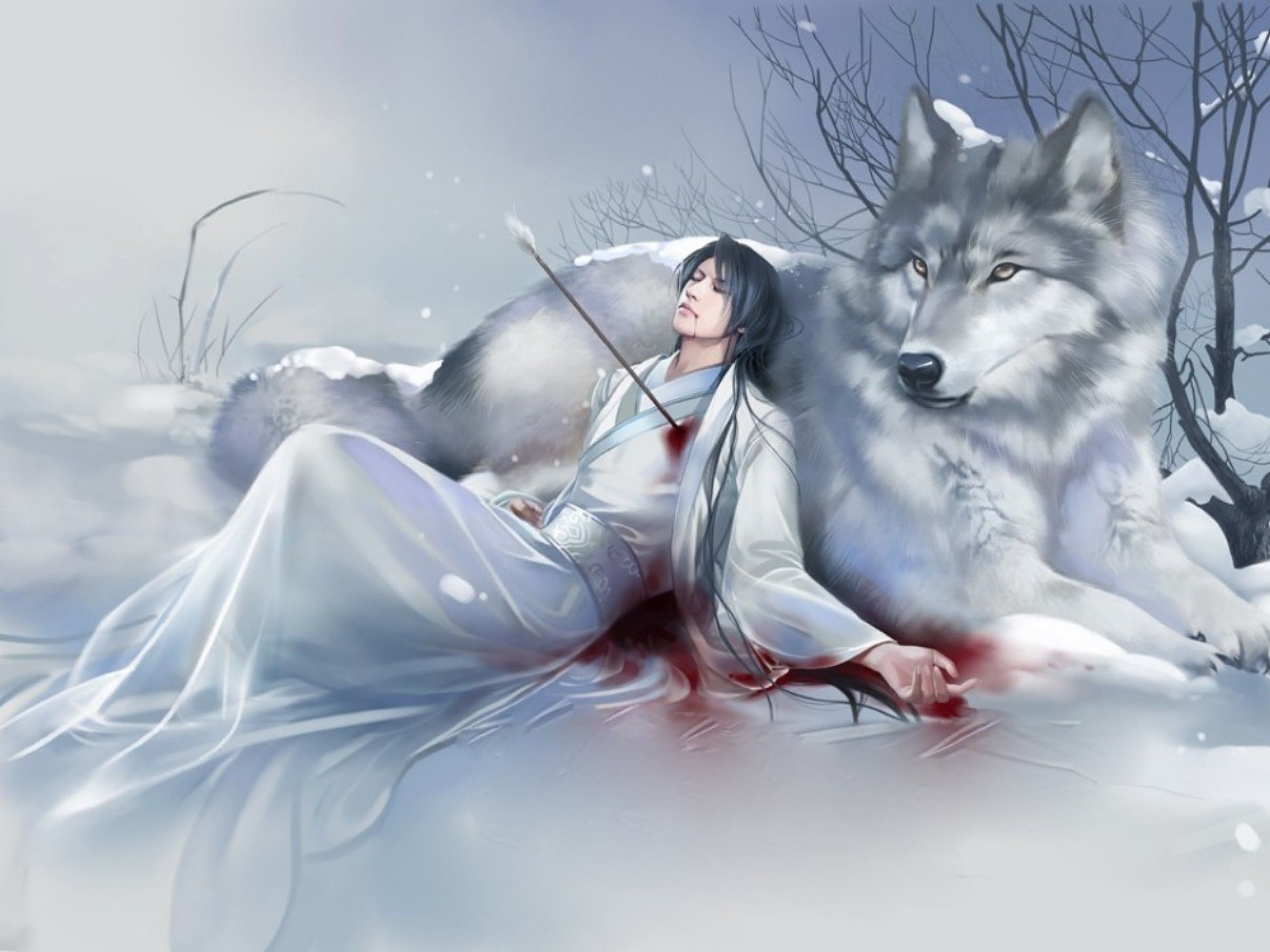 Ragazza con spada e lupo neve, 2560x1920 WQXGA, PC