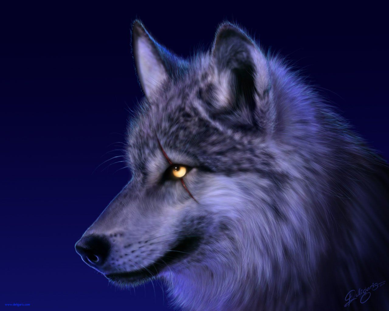 Lupo Anime, 1280x1024 720p, Laptop