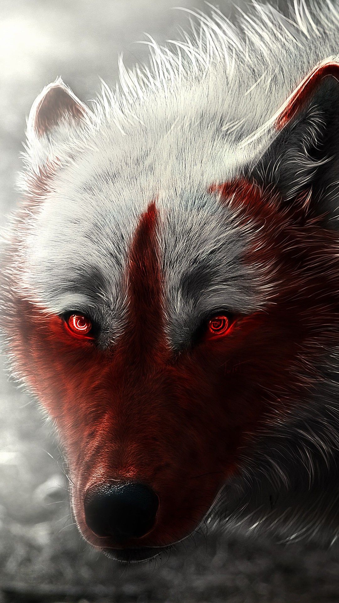 Lupo bianco e rosso, 1080x1920 Full HD Verticale, iPhone
