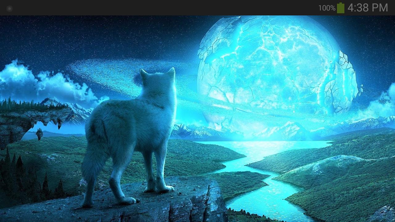 Lupo bianco luna fantasy, 1280x720 HD, Desktop
