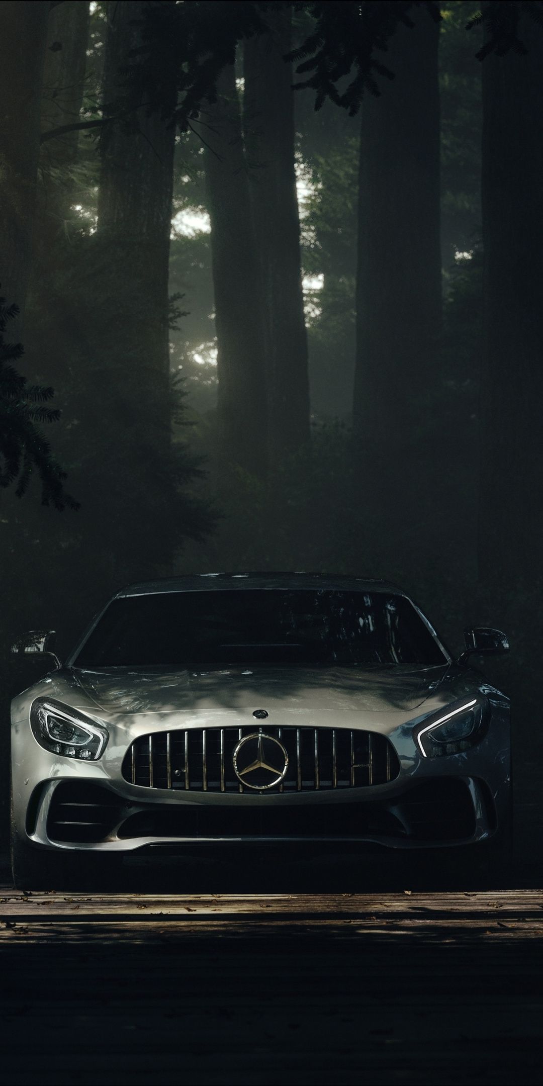 Mercedes AMG GT nella foresta, alte prestazioni, 1080x2160 Full HD Verticale, Smartphone