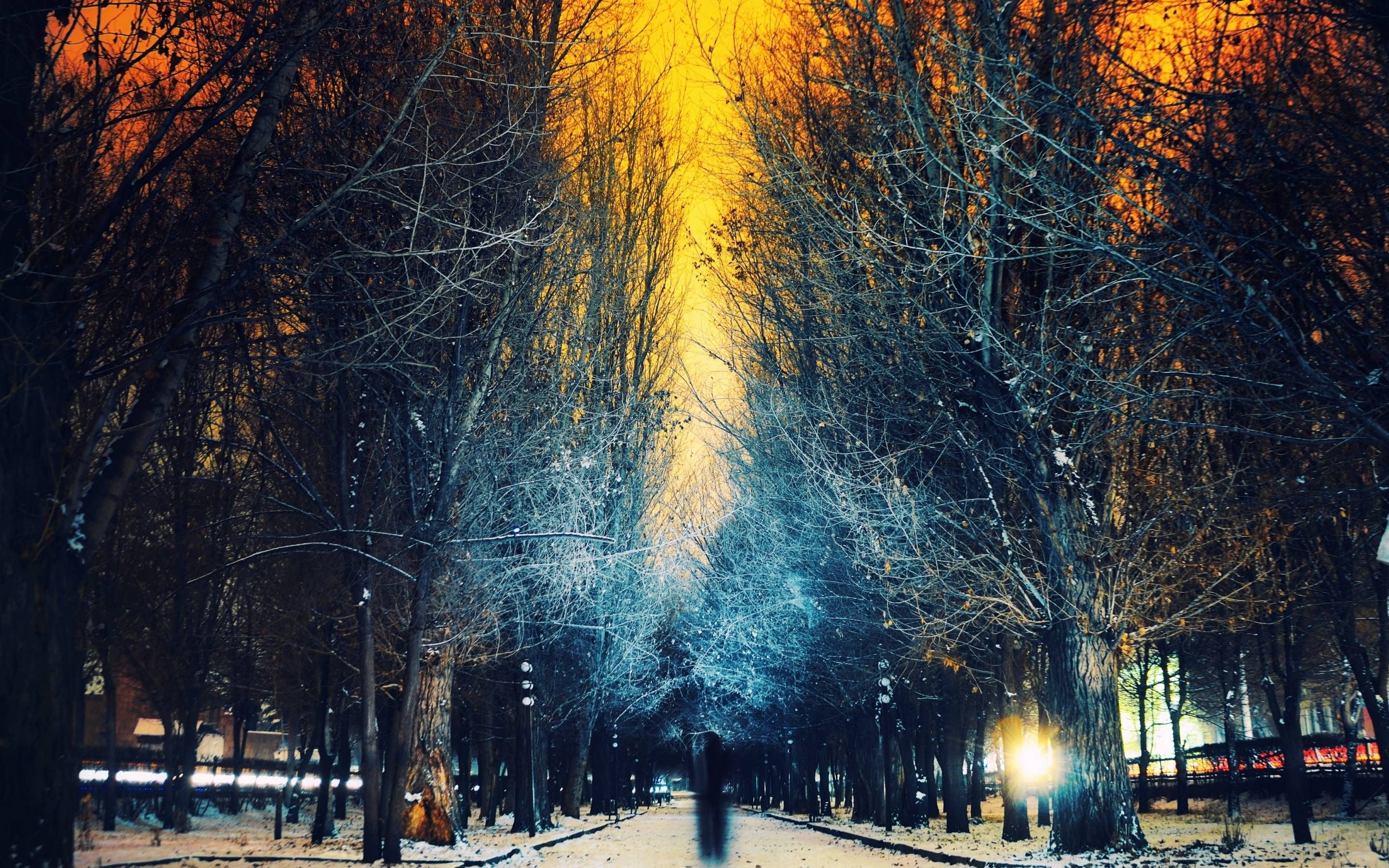 Viale invernale notturno con neve, 2880x1800 2K, MacBook Pro