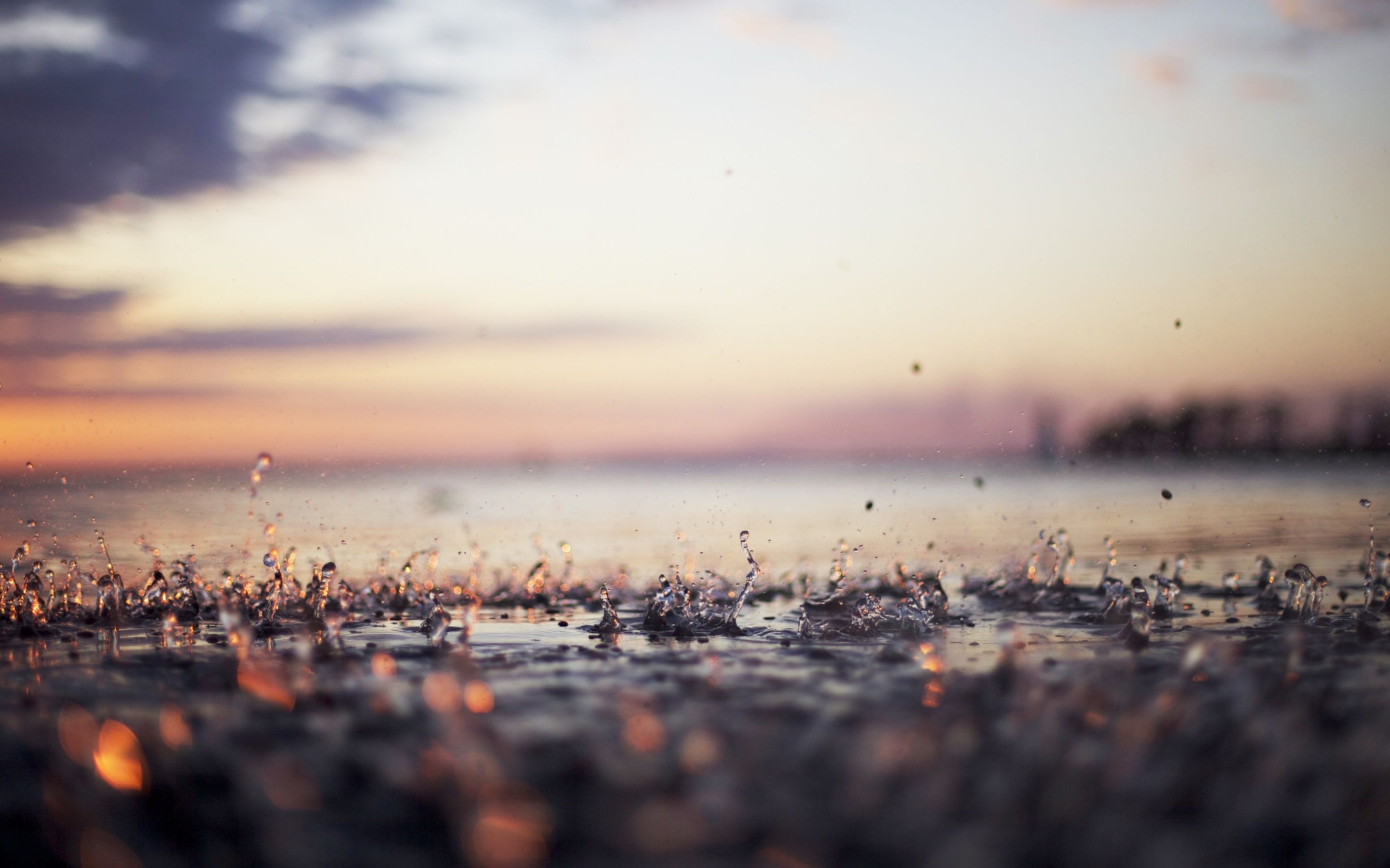 Gocce d'acqua al tramonto, 2880x1800 2K, Mac