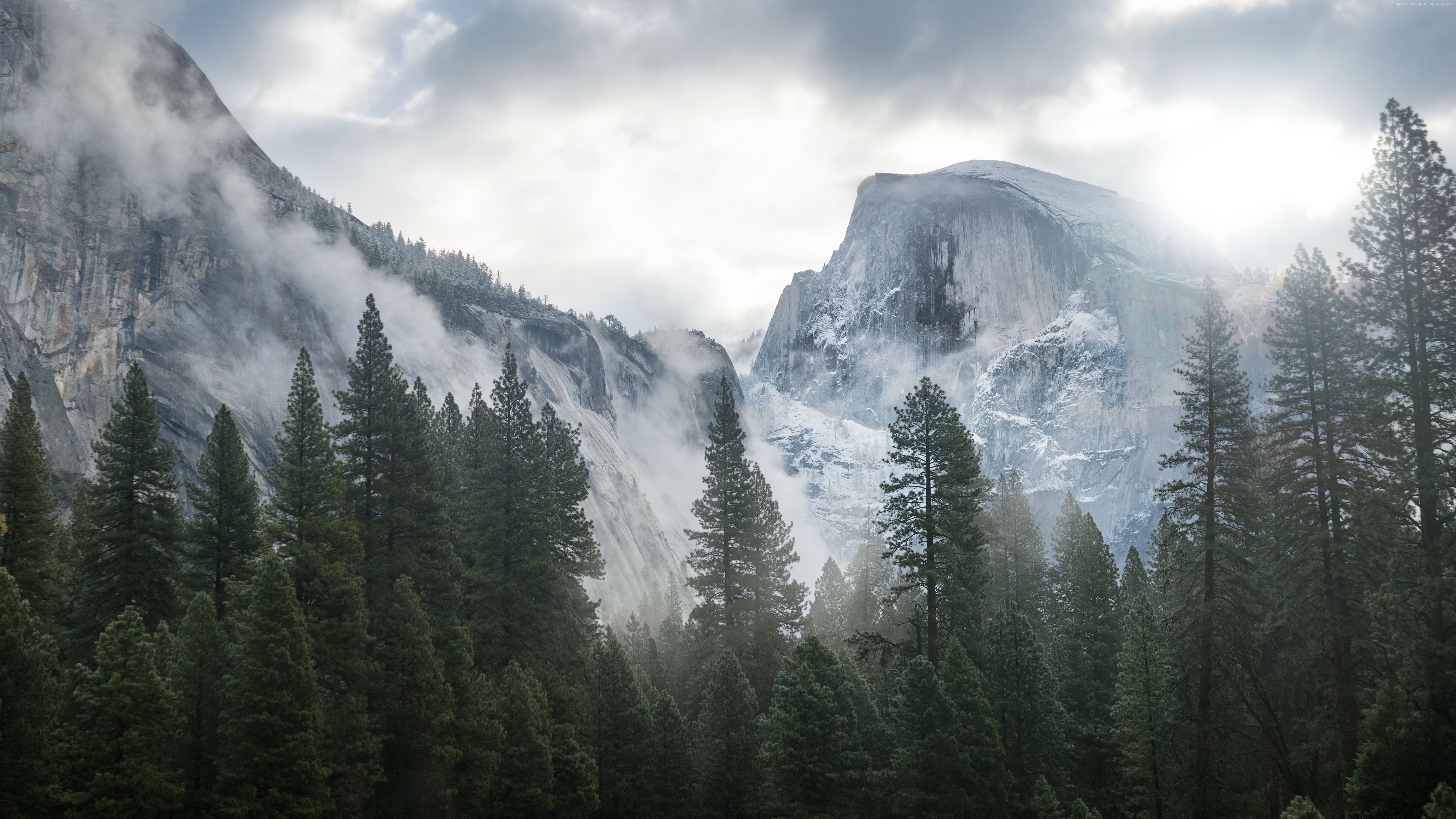 Montagna con foresta e nebbia, 5932x3337 4K, MacBook Pro