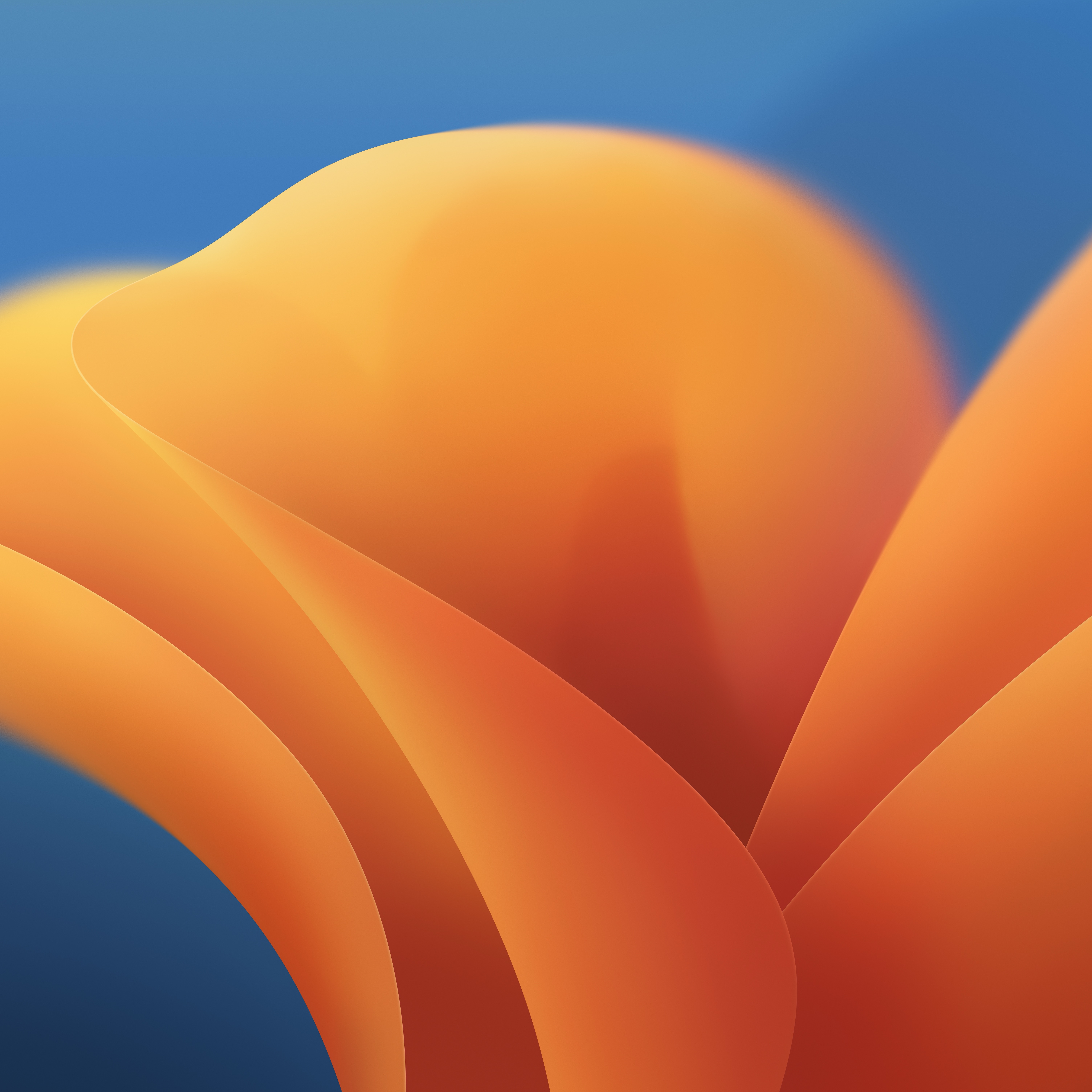 macOS Ventura sfondo astratto arancione, 6016x6016 4K, MacBook Pro