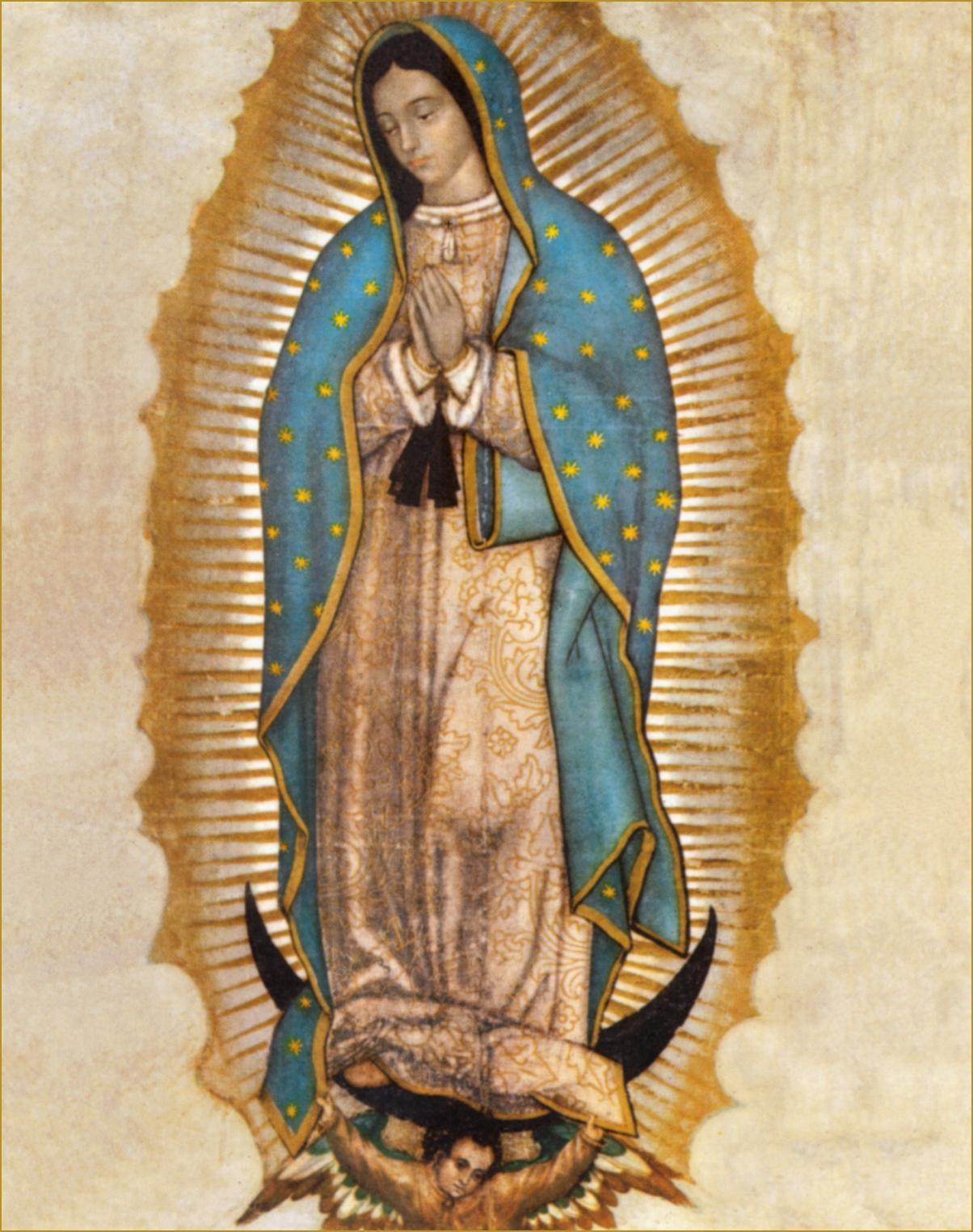 Madonna di Guadalupe, manto blu stellato, 1204x1525 Full HD Verticale, iPhone
