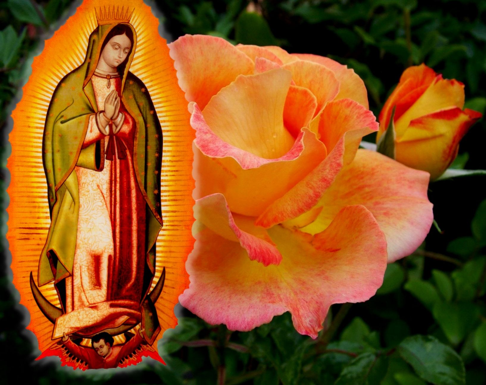 Madonna di Guadalupe con rosa, 1633x1296 HD Ready, Desktop