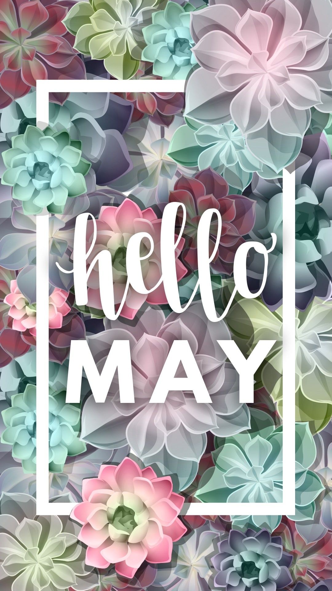 Hello May, succulente pastello, 1080x1920 Verticale, Telefono