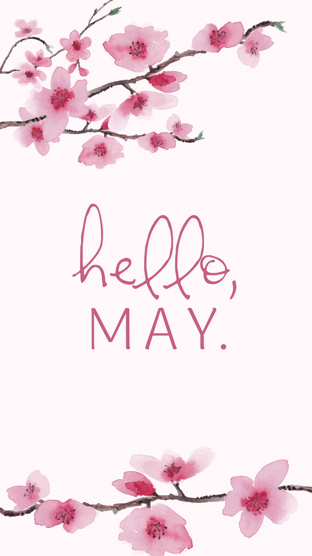 Fiori di ciliegio dipinti, scritta hello May, 1080x1920 Verticale, Mobile