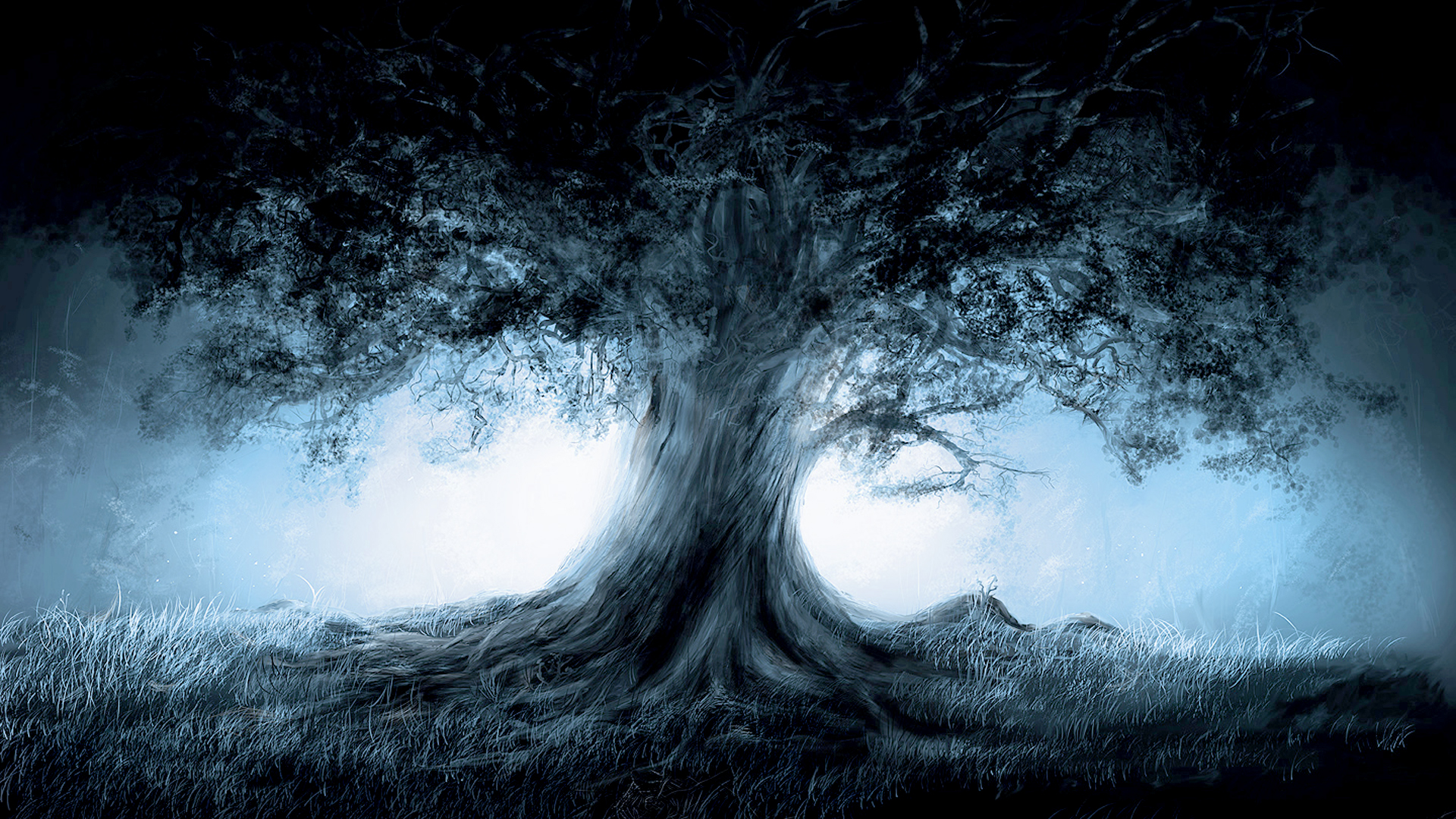 Albero magico nella nebbia notturna, 1920x1080 Full HD, PC
