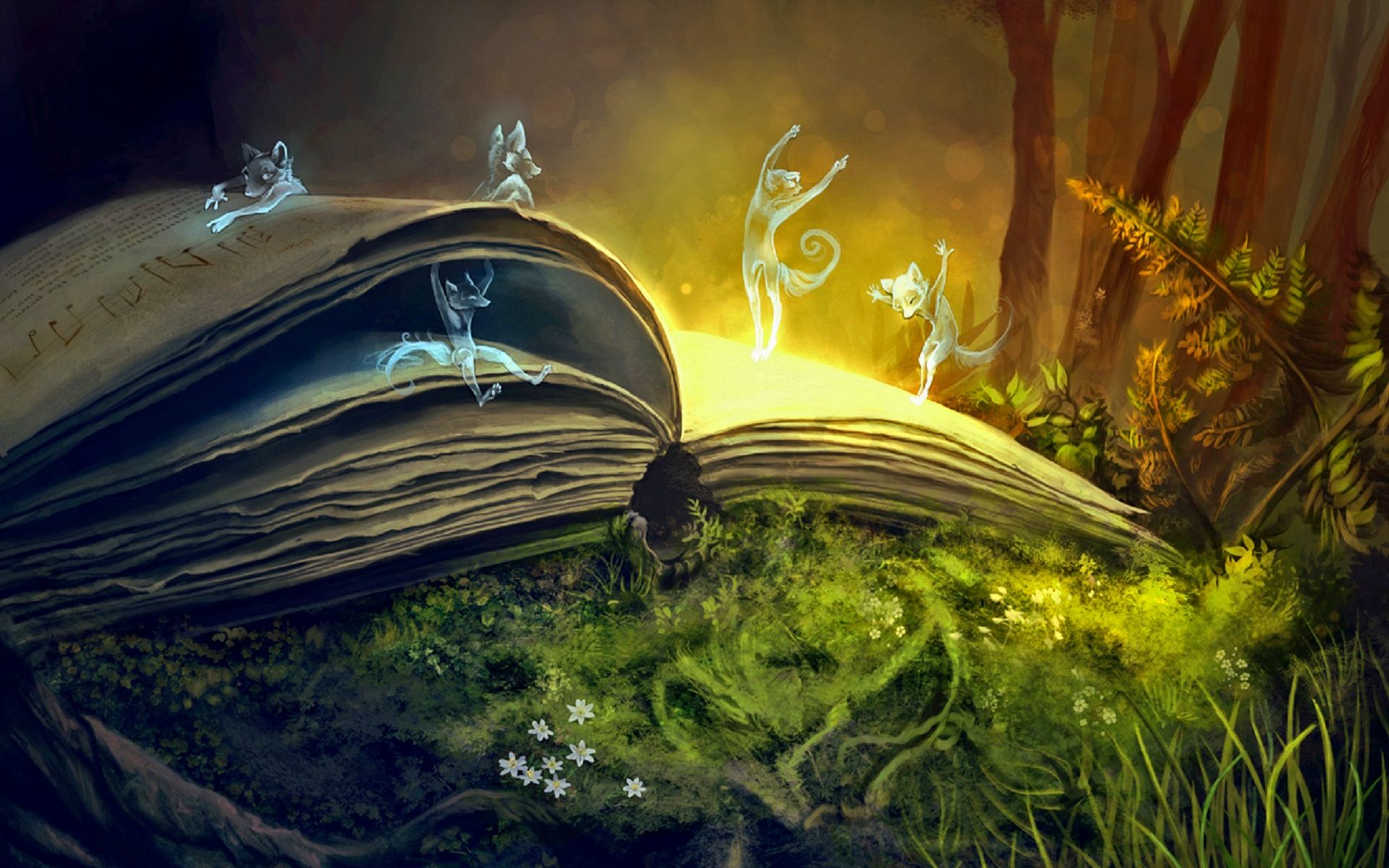 Libro magico con fatine luminose, 1920x1200 WUXGA, iMac