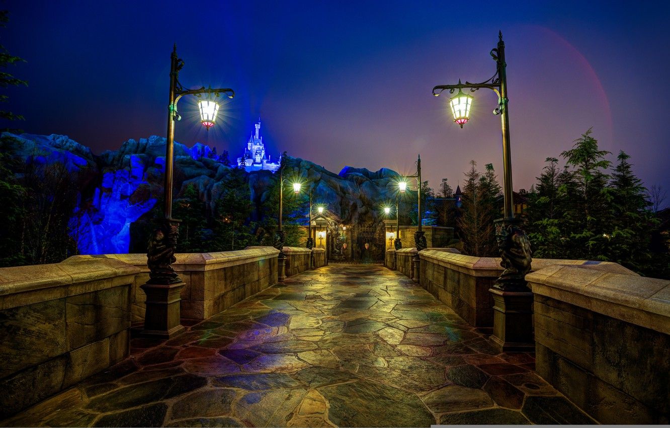 Castello Disney di notte, 1332x850 720p, PC