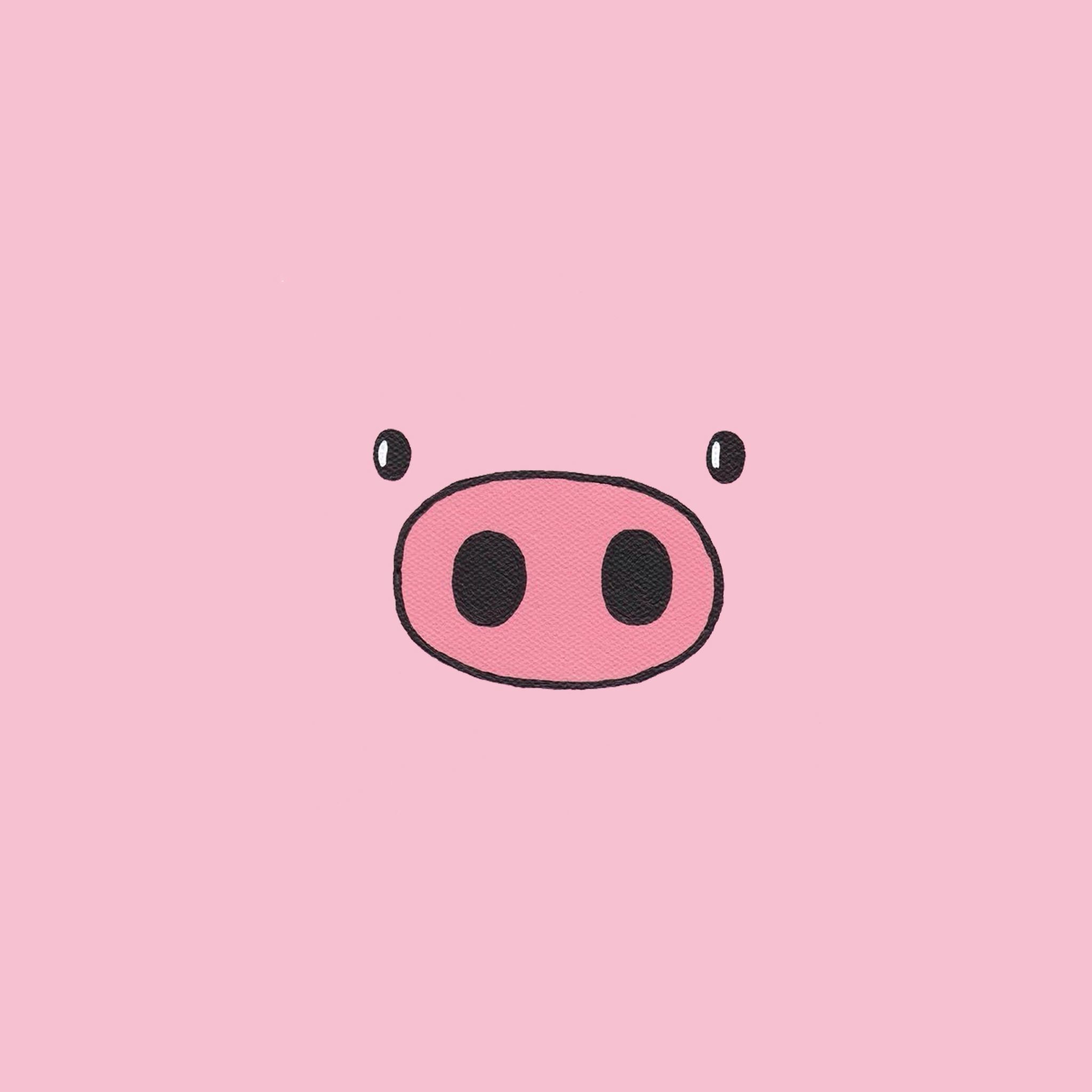 Naso di maiale kawaii rosa, 2048x2048 Hi-Res, Laptop