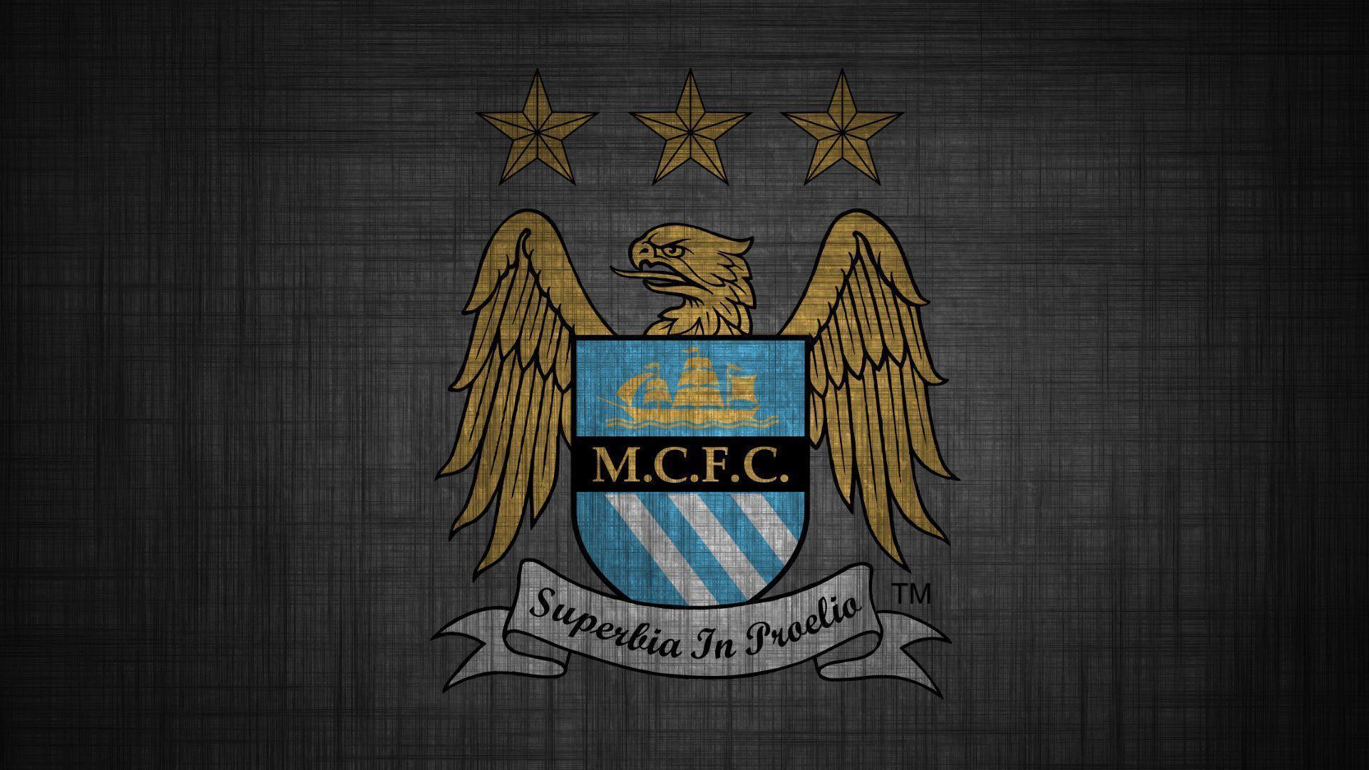 Logo Manchester City FC, 1024x768 HD, Desktop