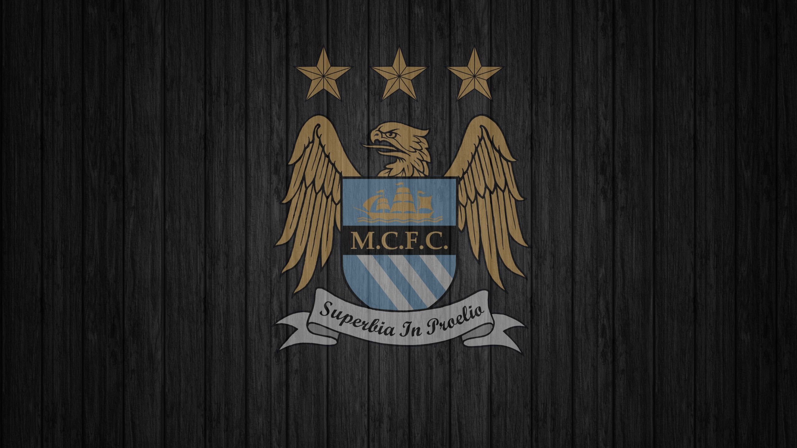 Logo Manchester City su legno, 2560x1440 QHD, Laptop