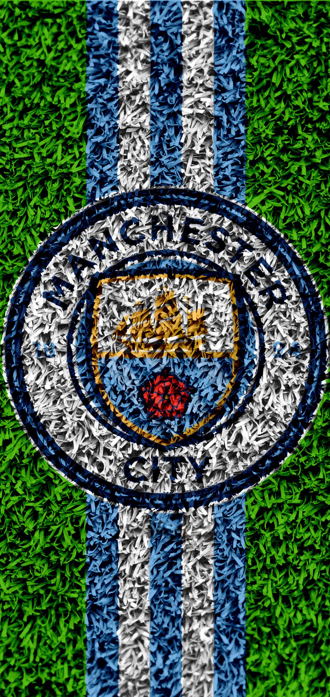 Logo Manchester City su erba, 1080x2280 Full HD Verticale, iPhone
