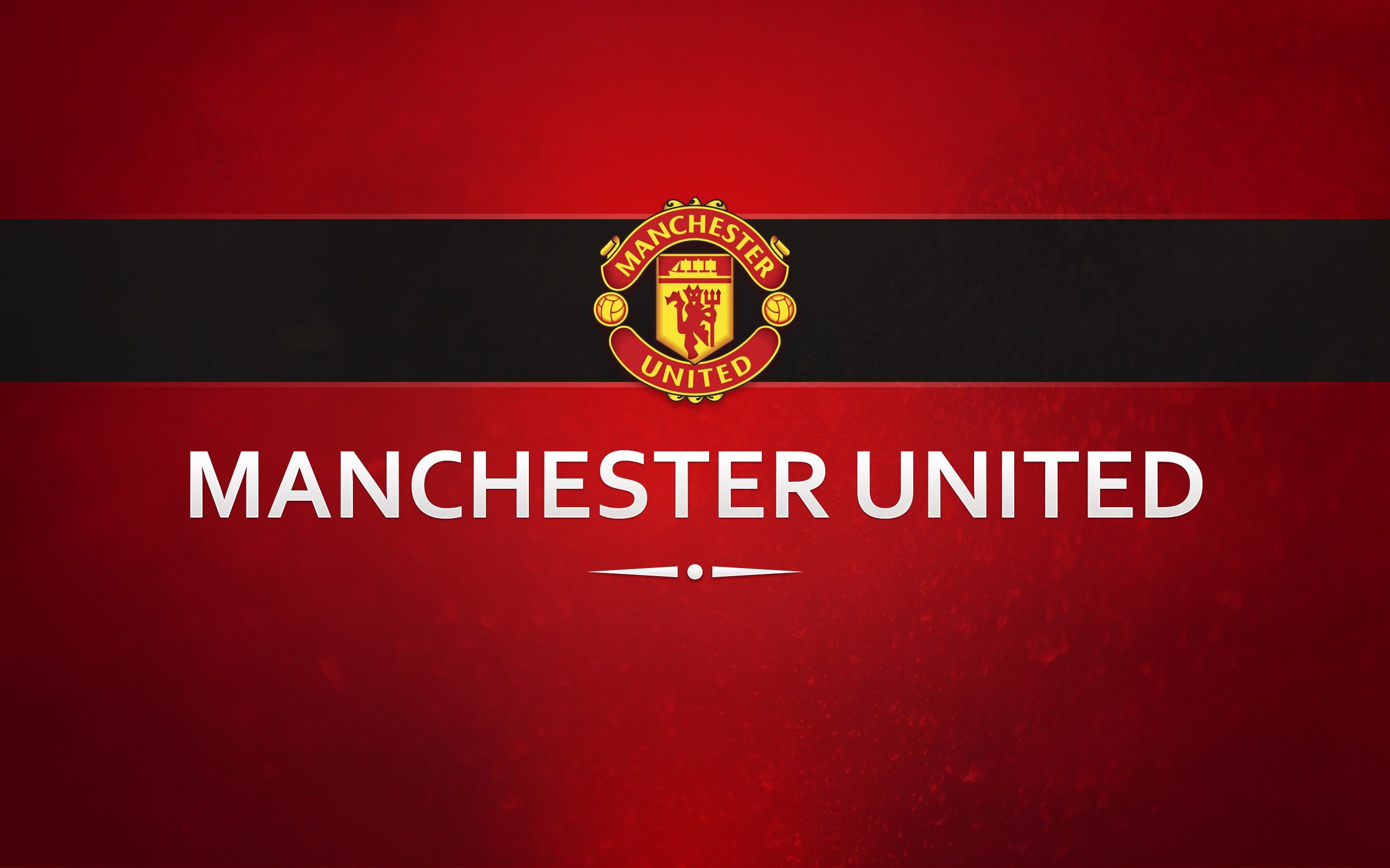 Logo Manchester United rosso, 2560x1600 2K+, PC