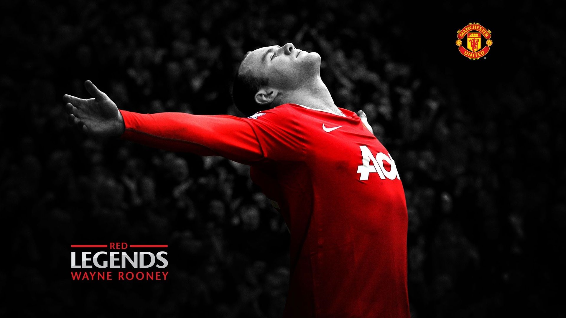 Wayne Rooney Manchester United festeggia, 1920x1080 Full HD, Desktop