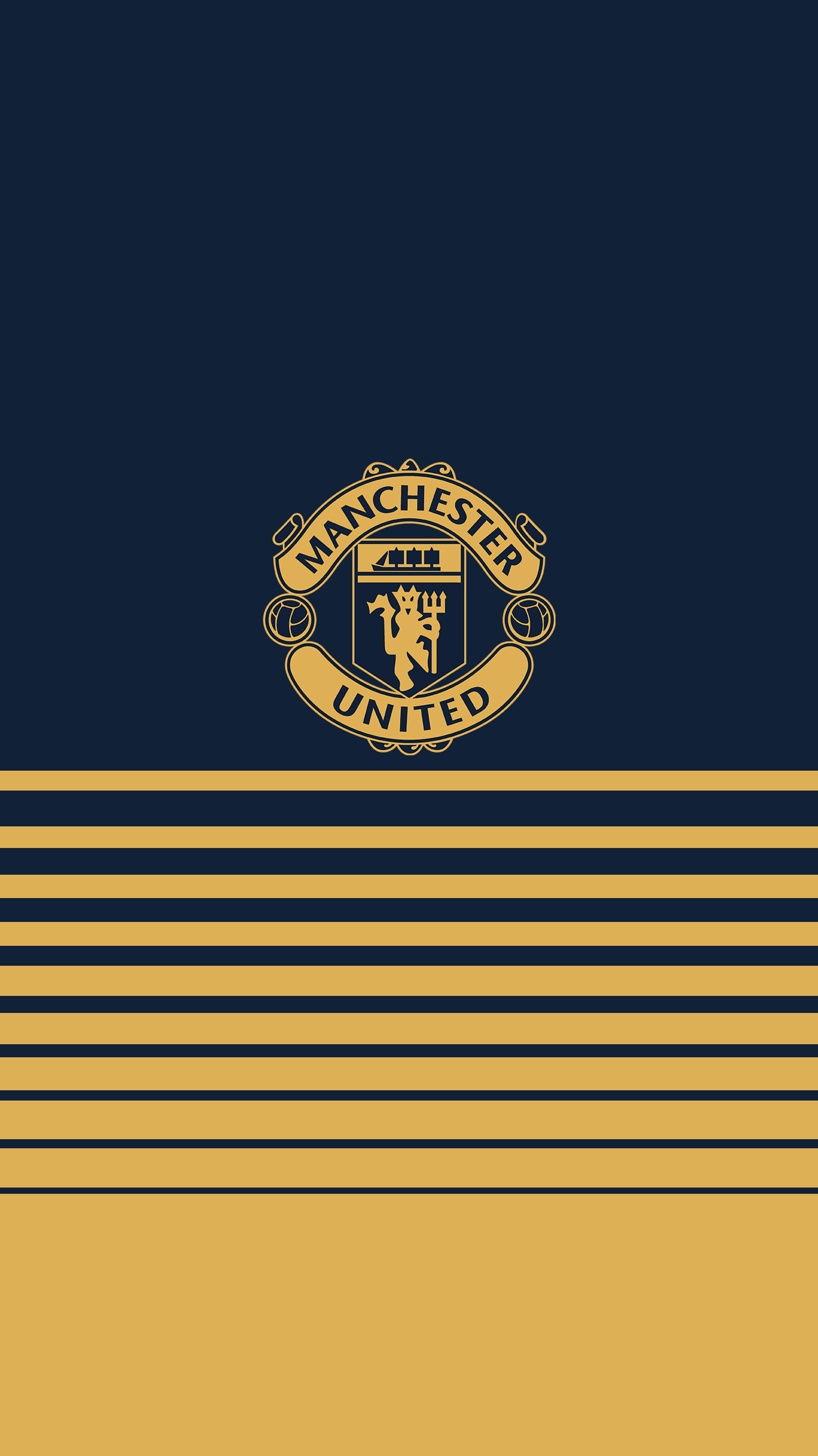Logo Manchester United righe dorate, 1440x2560 Full HD Verticale, iPhone