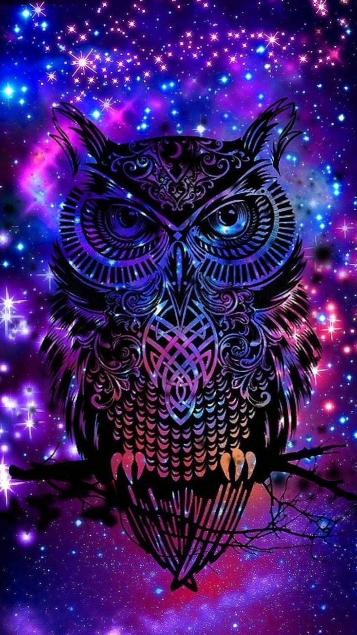Gufo mandala su galassia, 733x1305 Verticale, Mobile