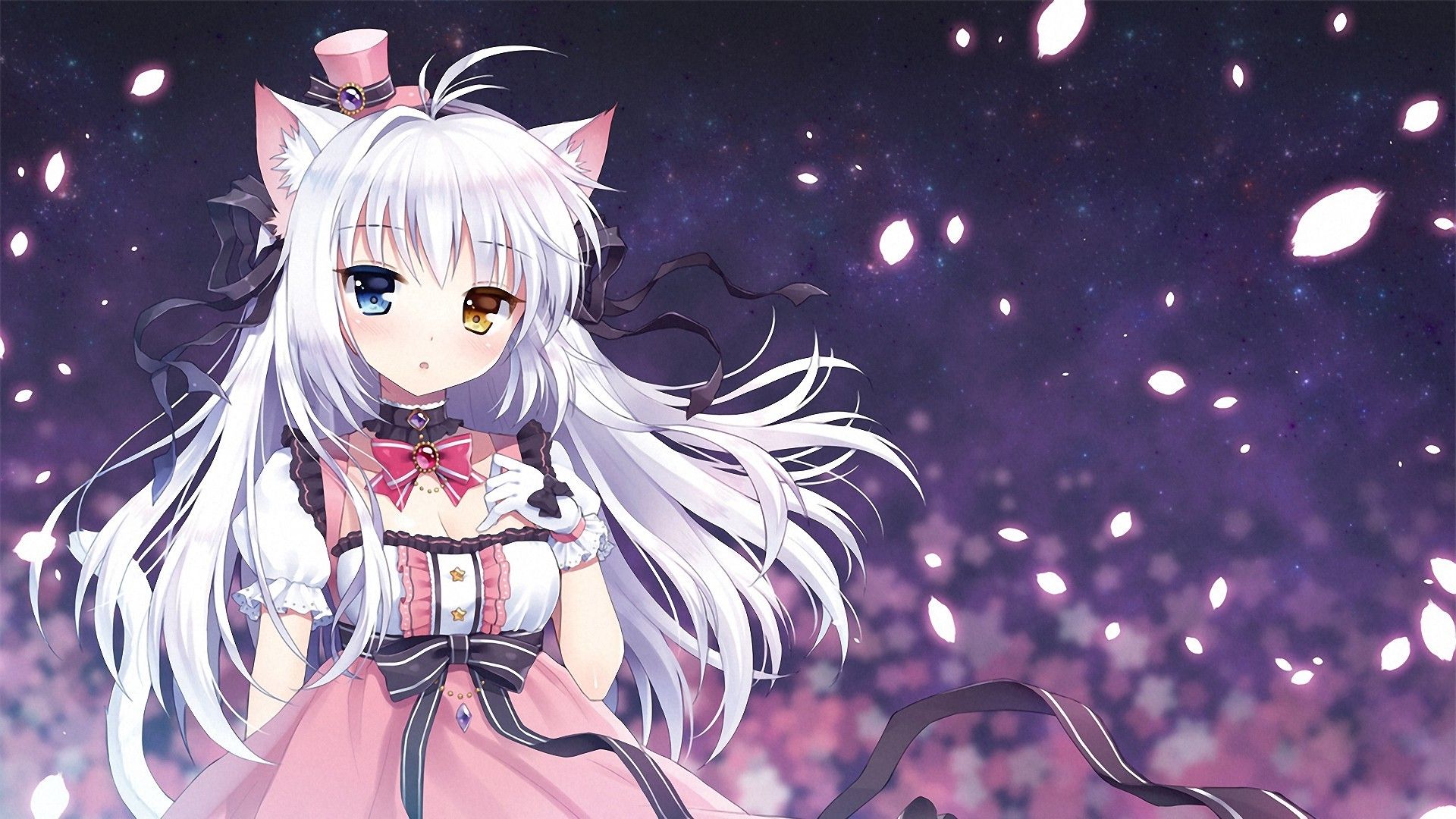 Ragazza gatto capelli bianchi, 1920x1080 Full HD, Desktop