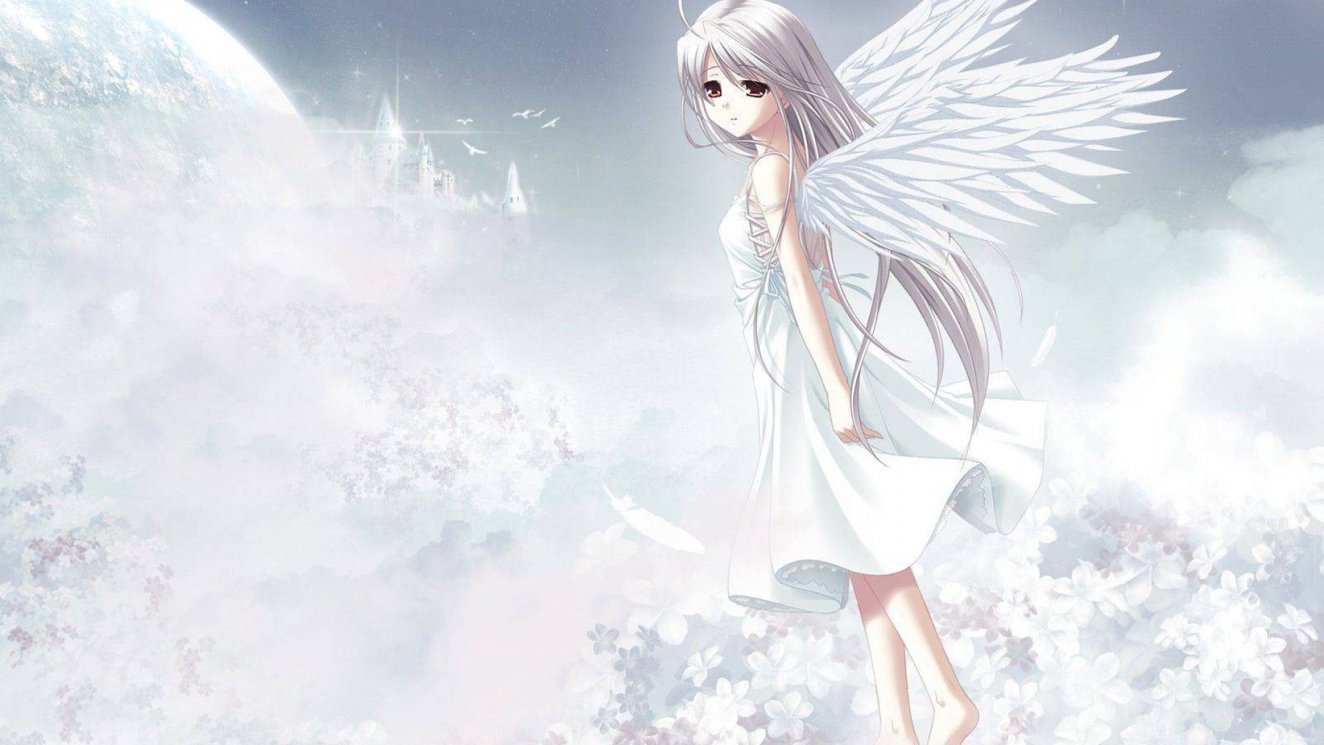 Ragazza angelo ali bianche, 1920x1080 Full HD 1080p, Desktop