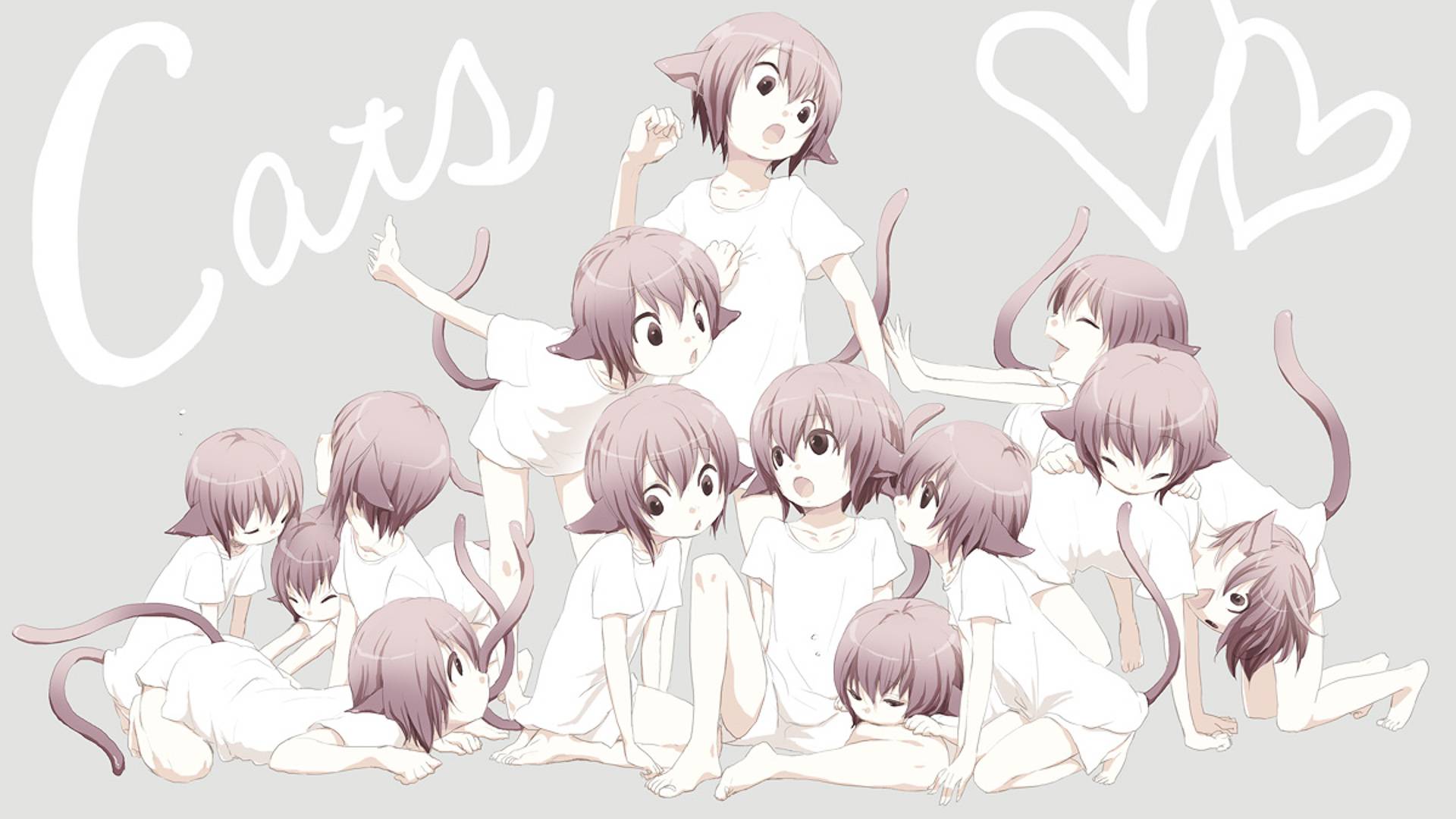 Ragazze gatto manga carine, 1920x1080 Full HD, PC Desktop