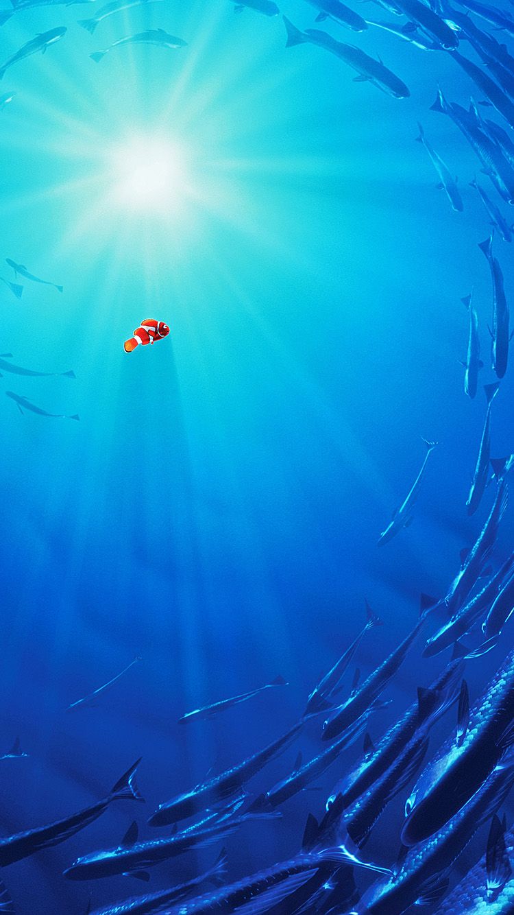 Nemo pesce pagliaccio oceano blu, 750x1334 Verticale, Mobile