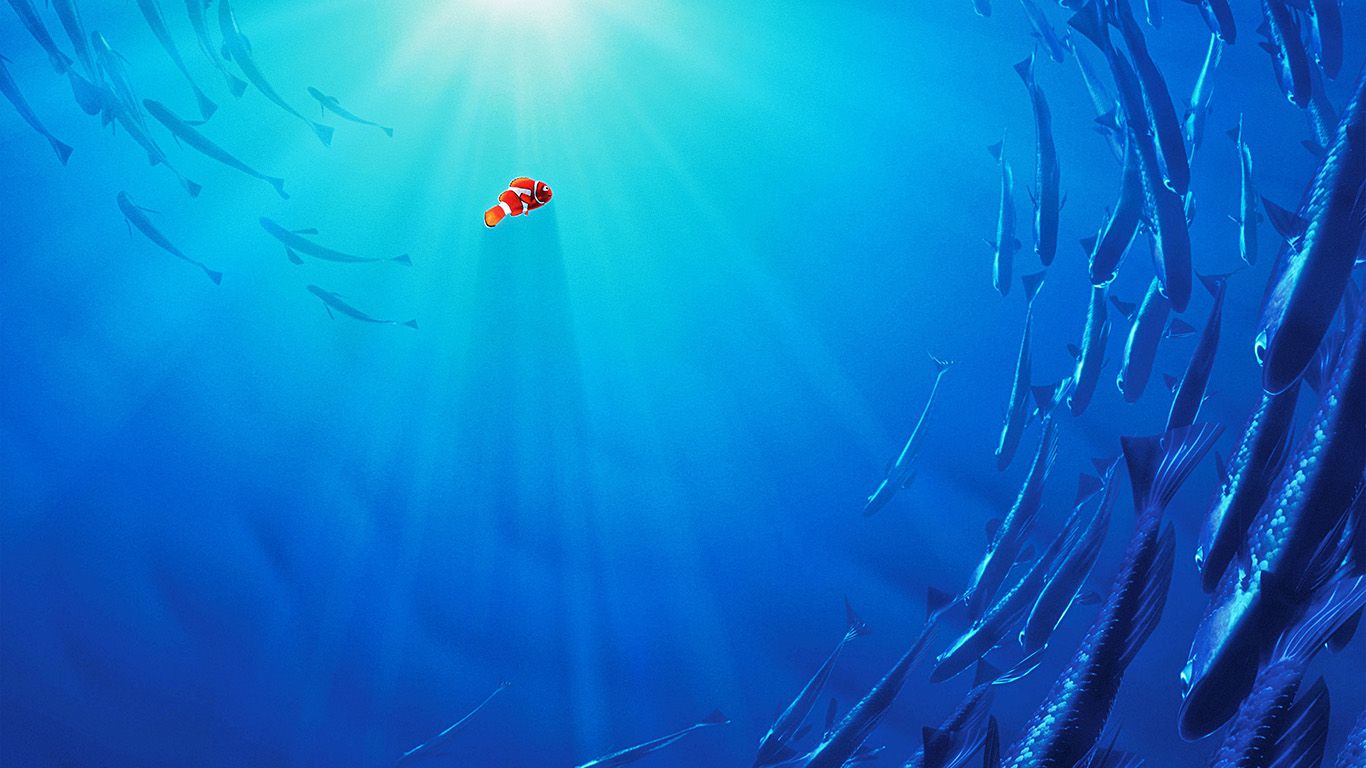Nemo pesce pagliaccio oceano blu, 1366x768 HD, Desktop