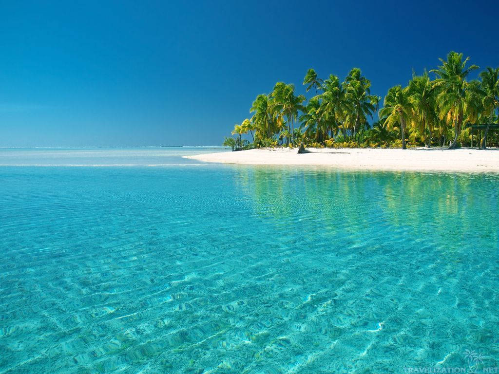 Isola tropicale con palme, sfondi Mare, 1024x768 HD, Desktop