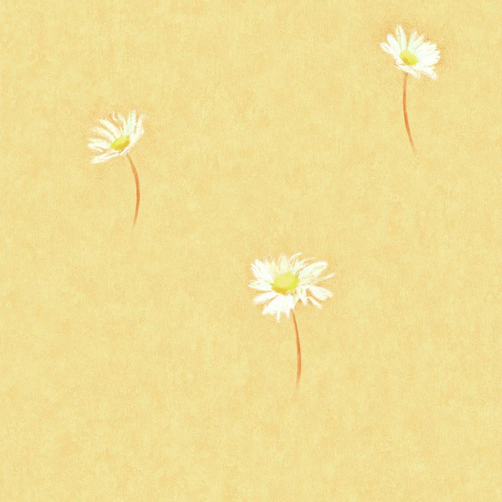 Margherite bianche sparse sfondo giallo, 1000x1000 HD, Desktop