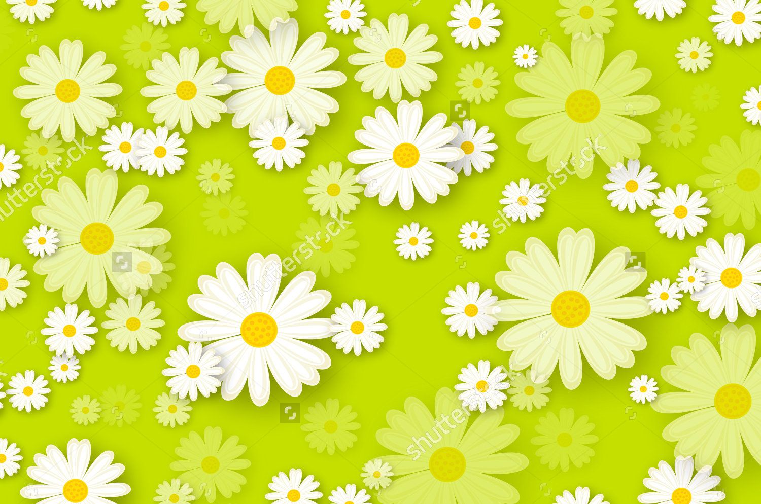Margherite bianche su verde, 1500x994 720p, MacBook Air