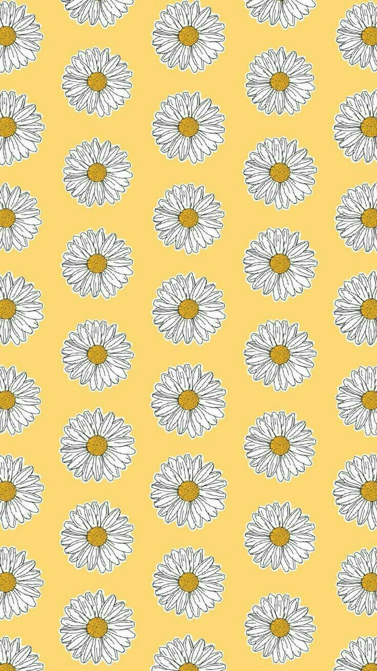 Margherite bianche su sfondo giallo, 736x1308 Full HD Verticale, Smartphone
