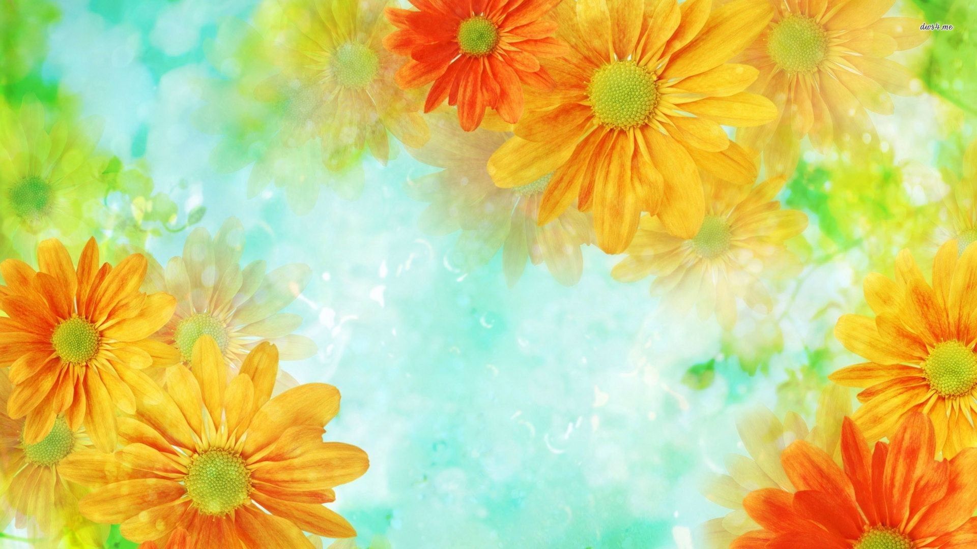 Margherite gialle e arancioni dipinte, 1920x1080 Full HD 1080p, Desktop