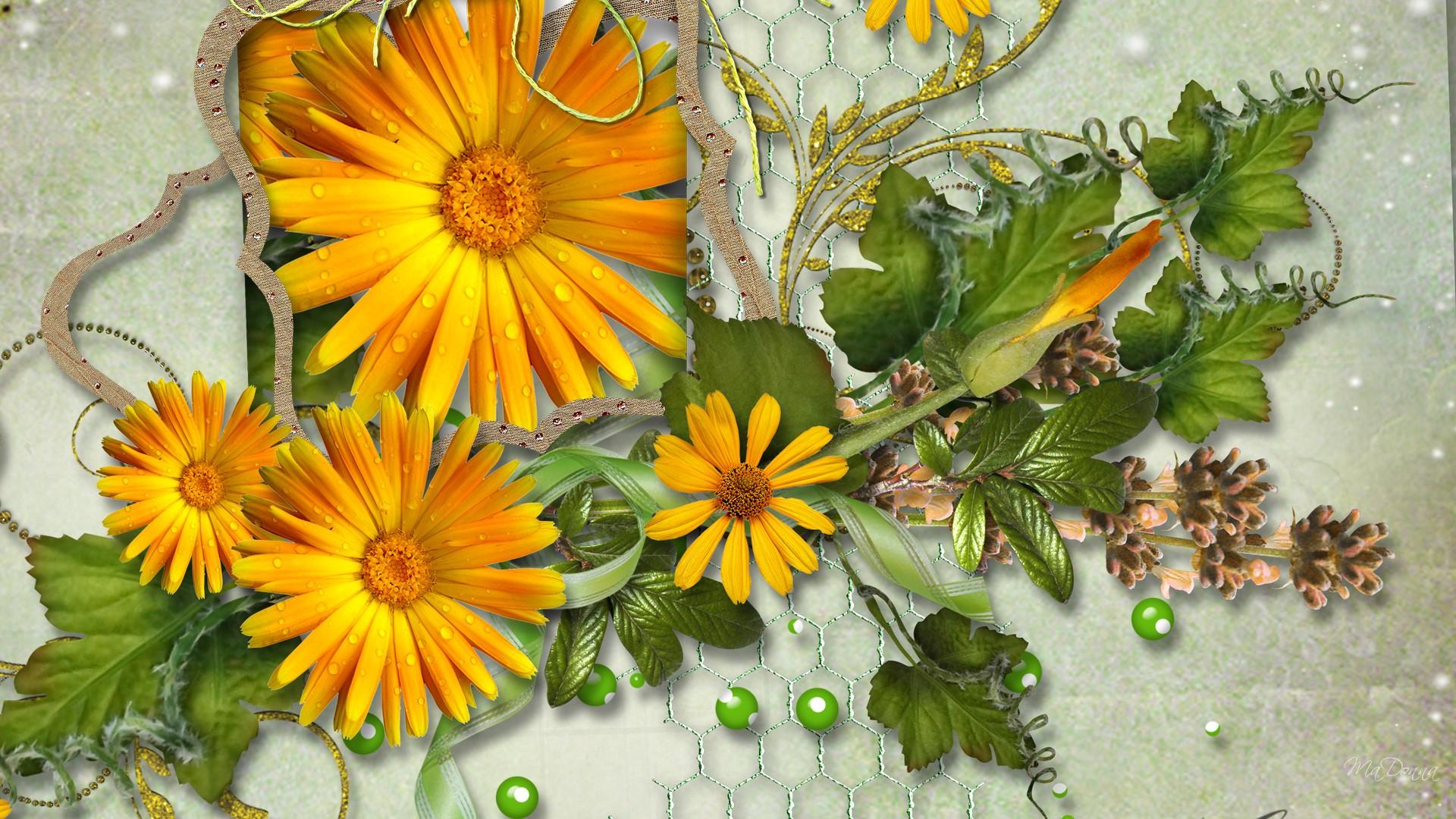 Margherite gialle decorative con perline, 1920x1080 1080p, Laptop