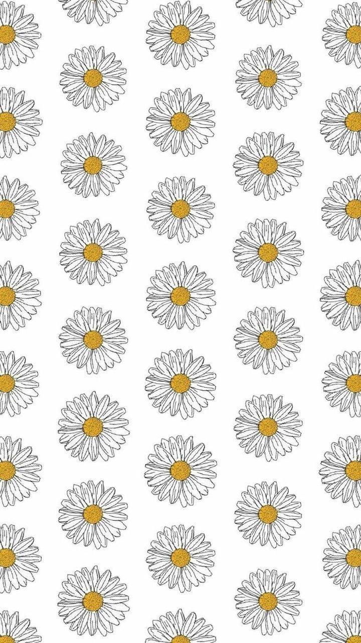 Margherite bianche pattern ripetuto, 720x1280 Verticale, Telefono
