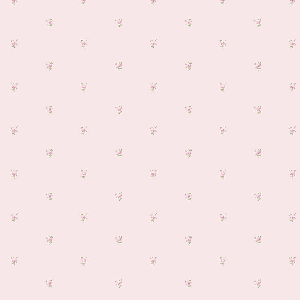 Margherite piccole rosa pastello, 1000x1000 HD, PC