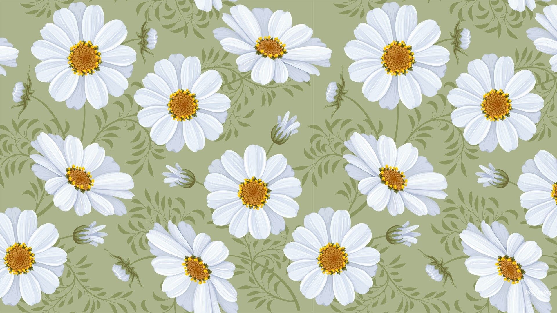 Margherite bianche su verde, 1920x1080 Full HD 1080p, Desktop