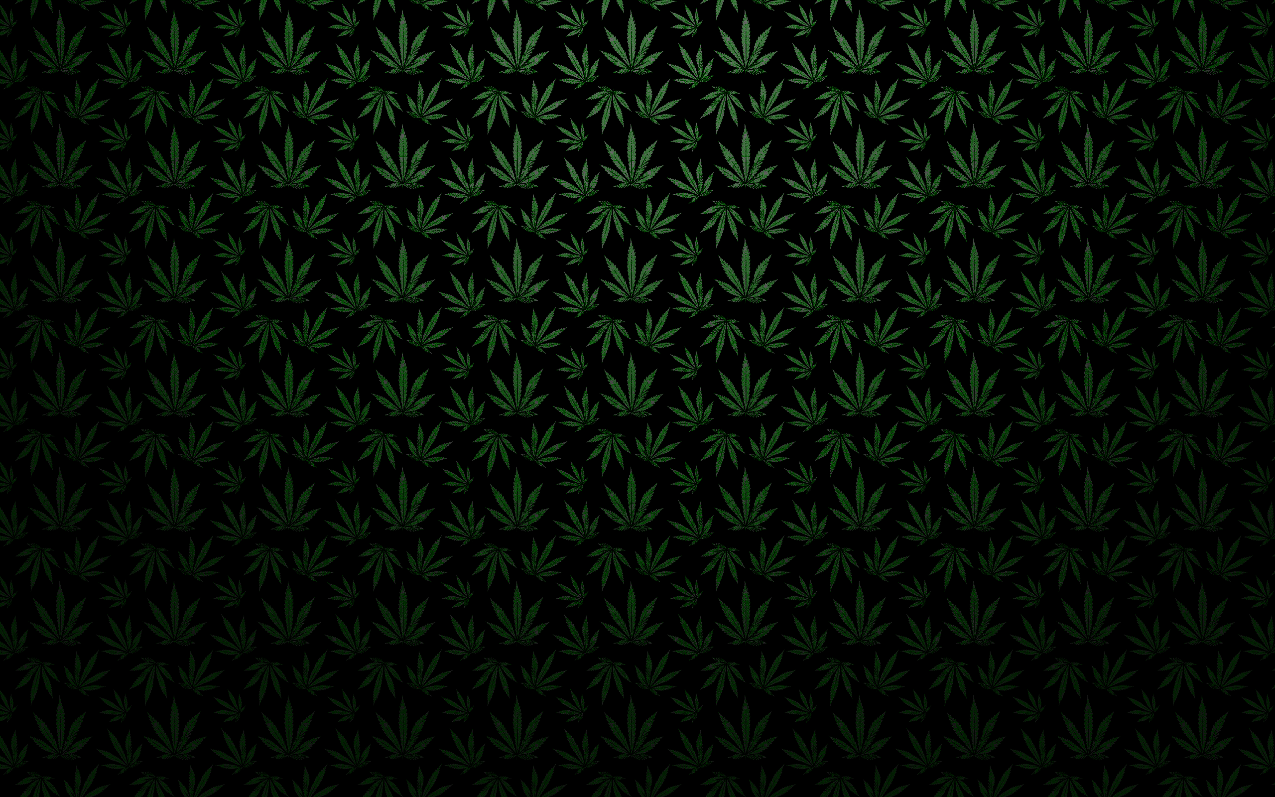 Foglie marijuana pattern verde scuro, 2560x1600 2K, Desktop