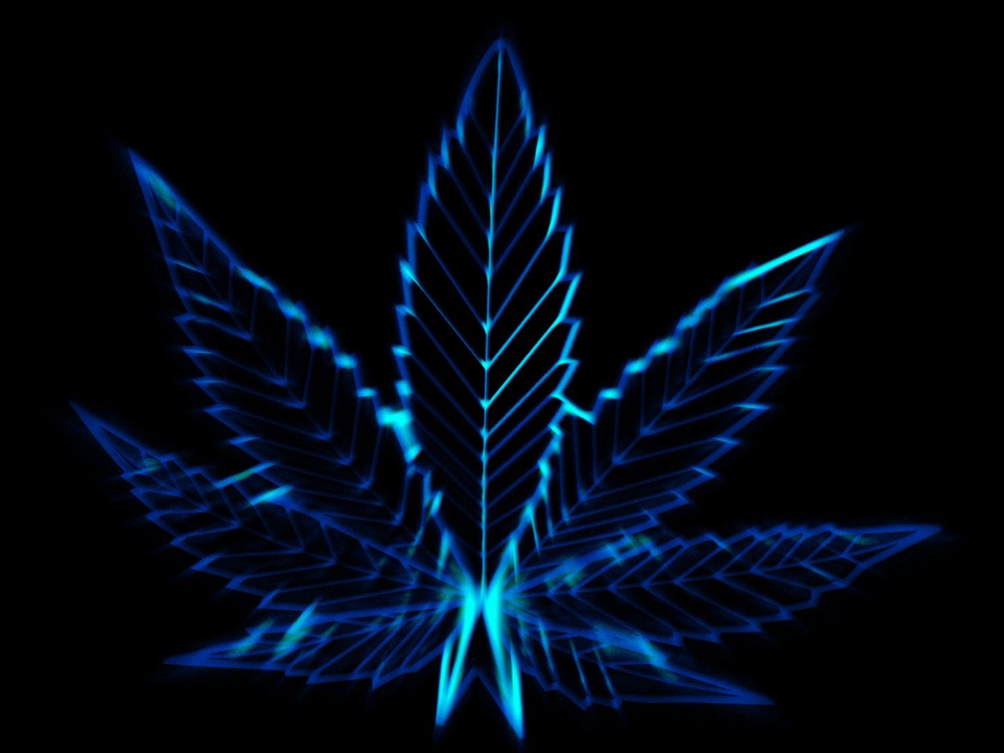 foglia marijuana blu luminosa, 1440x1080 HD, HP Laptop