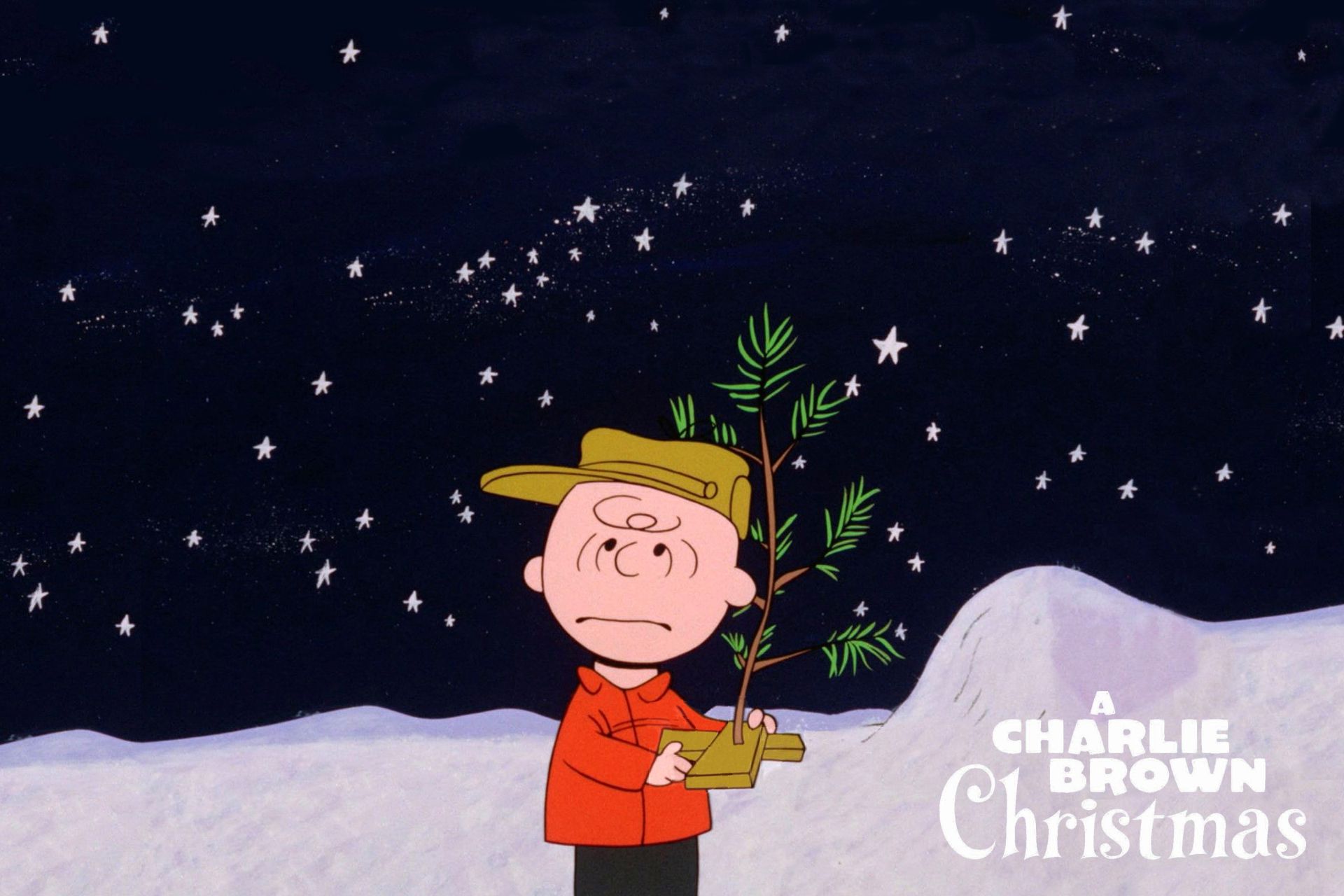 Charlie Brown con albero di Natale, 1920x1280 WUXGA, PC