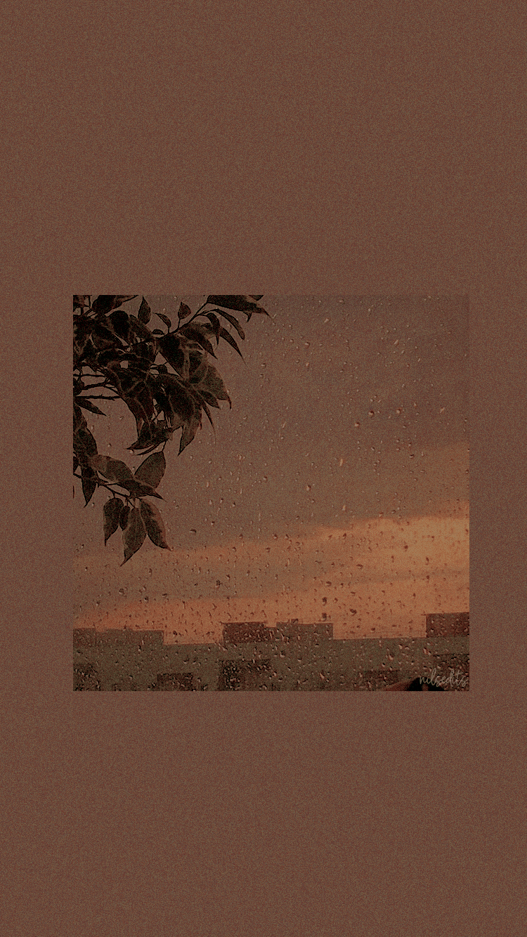 Tramonto marrone con rami, 750x1334 Full HD Verticale, iPhone