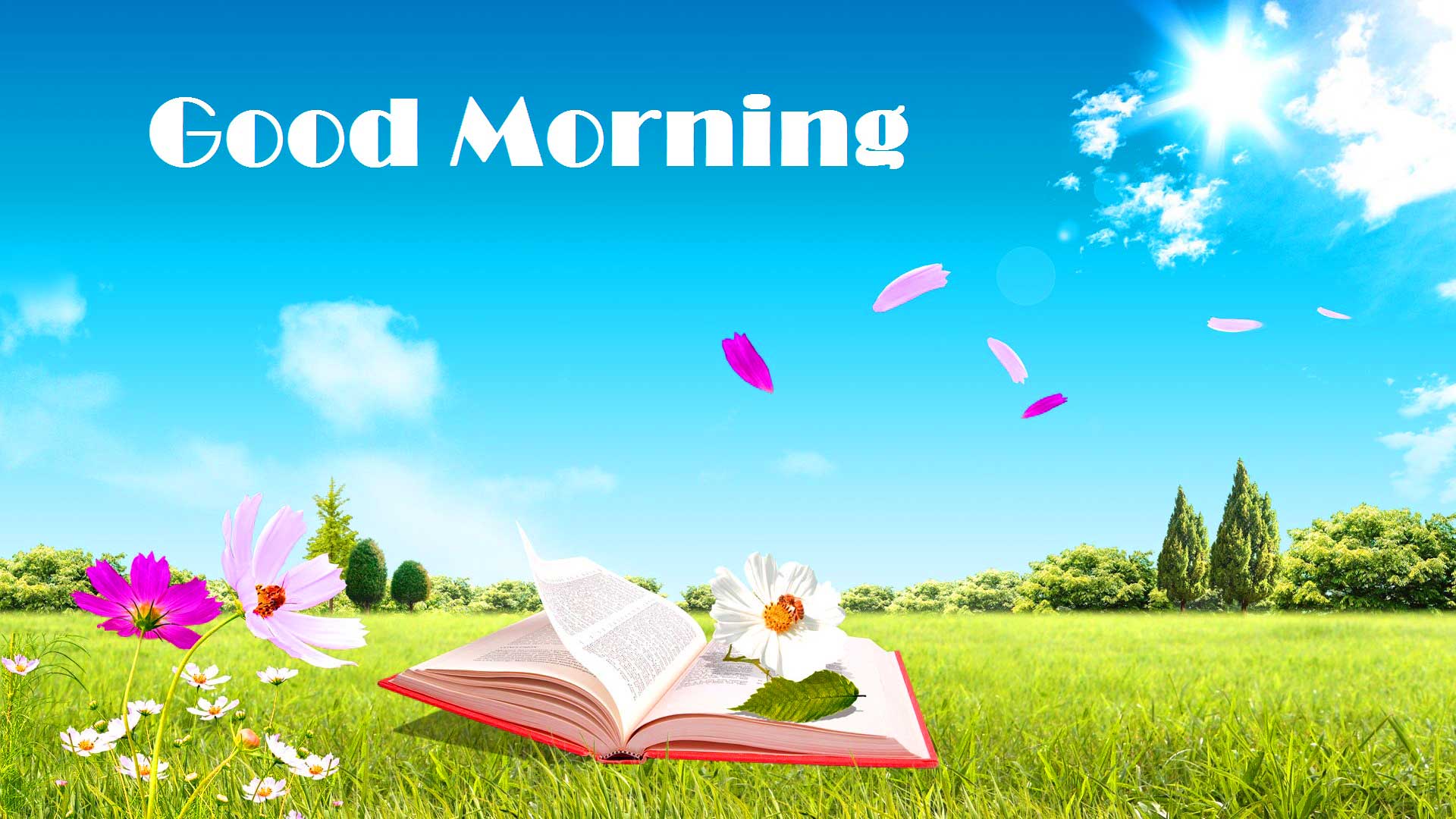 Frase motivazionale Happy Wednesday, 1600x900 900p, Desktop