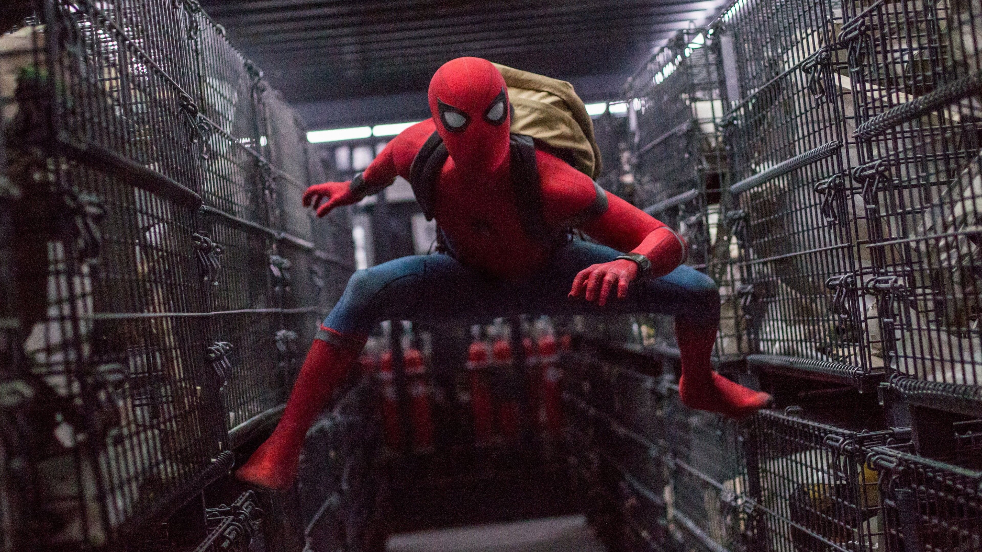 Spider-Man tra gabbie metalliche, 3840x2160 UHD, PC 4K