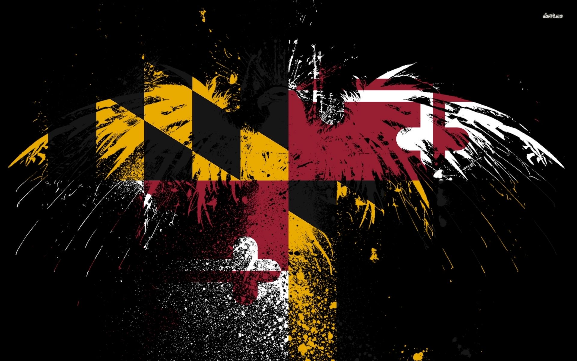 Bandiera Maryland effetto splatter, 1920x1200 Full HD+, Desktop