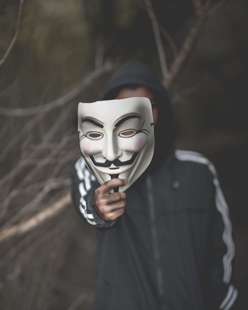 Maschera Guy Fawkes con felpa, 1000x1250 Full HD Verticale, Google Pixel